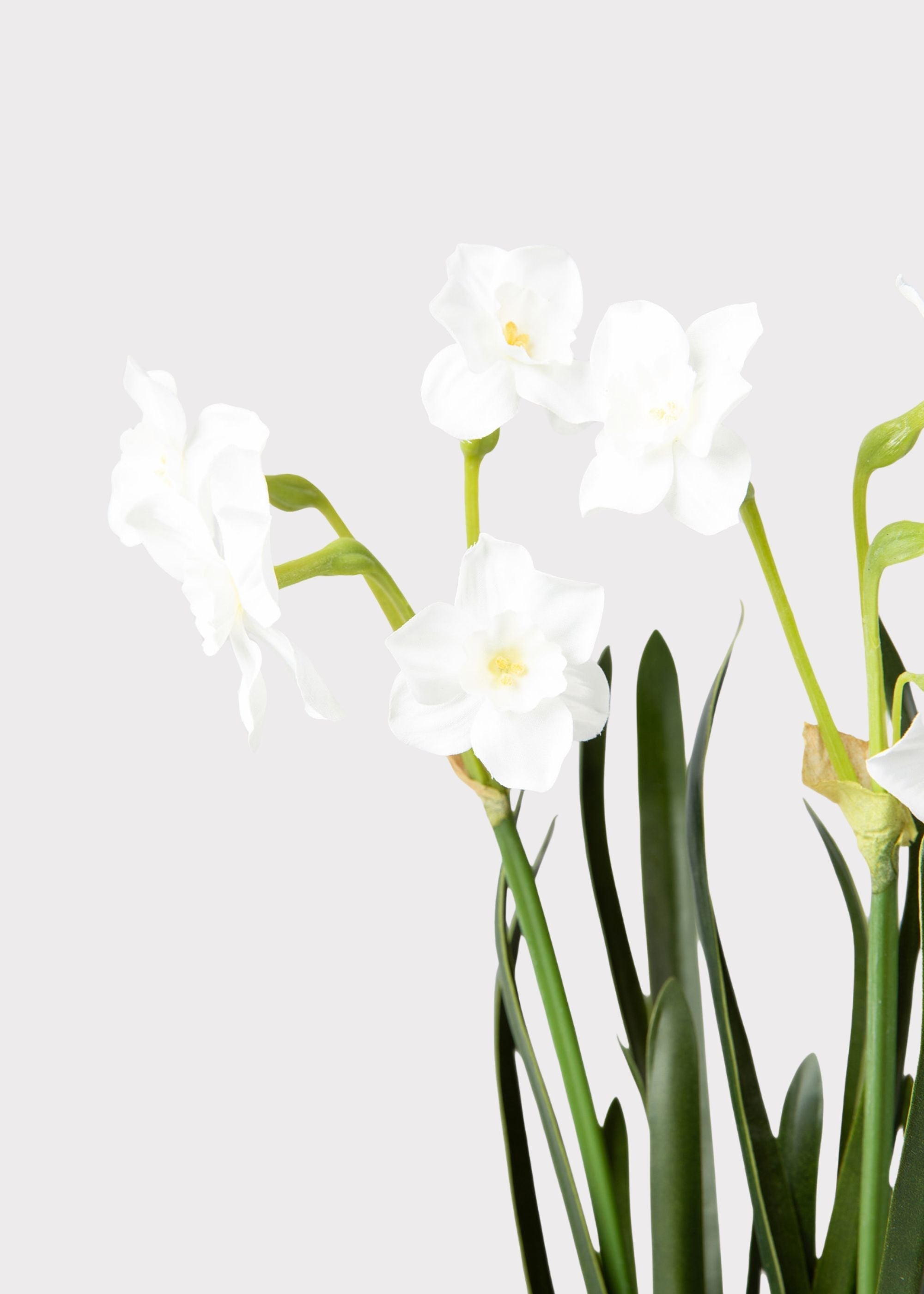 Green Artificial Spring Paperwhite Drop for Table Centerpiece