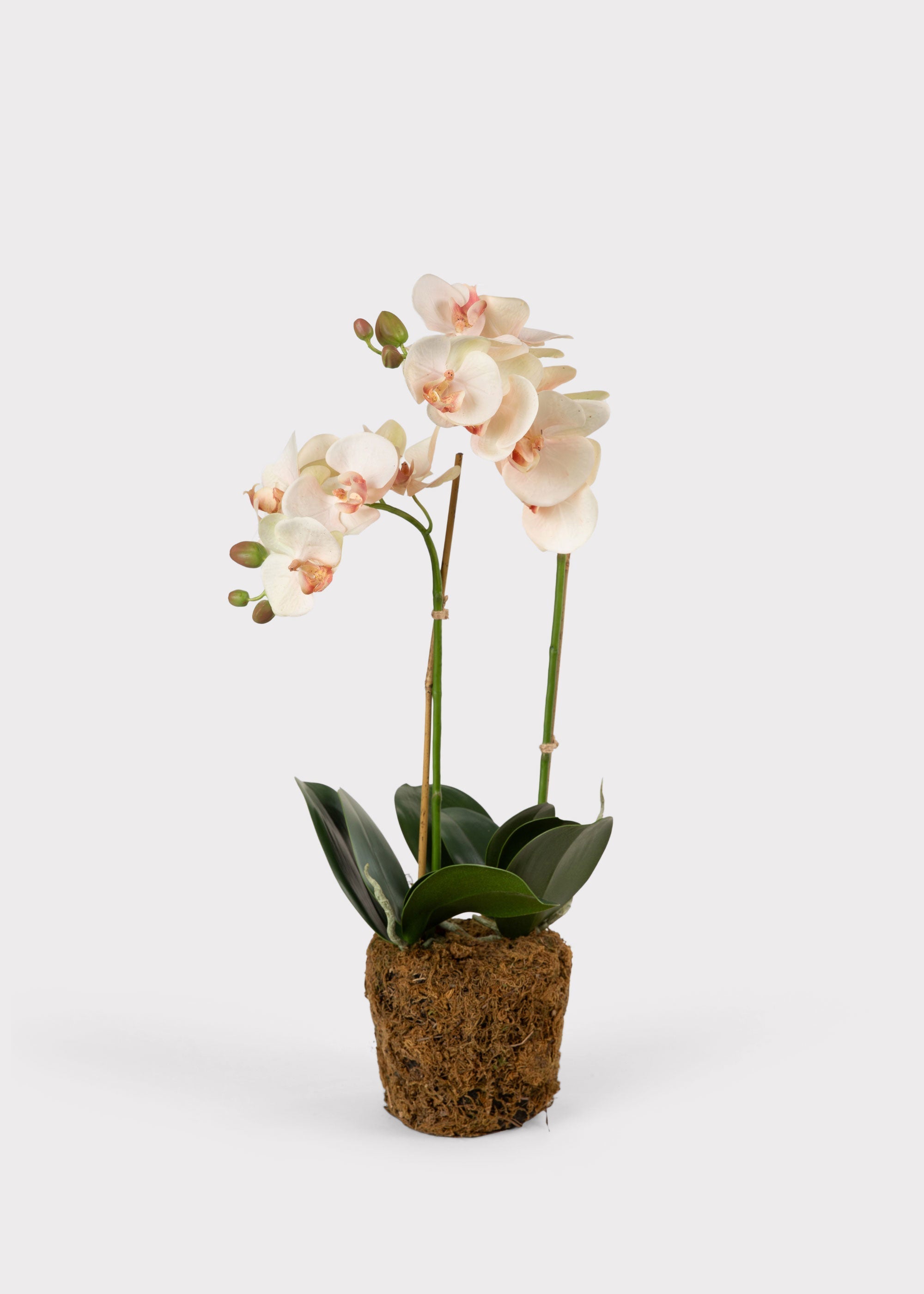 Blush Artificial Orchid Arrangement for Vase Styling