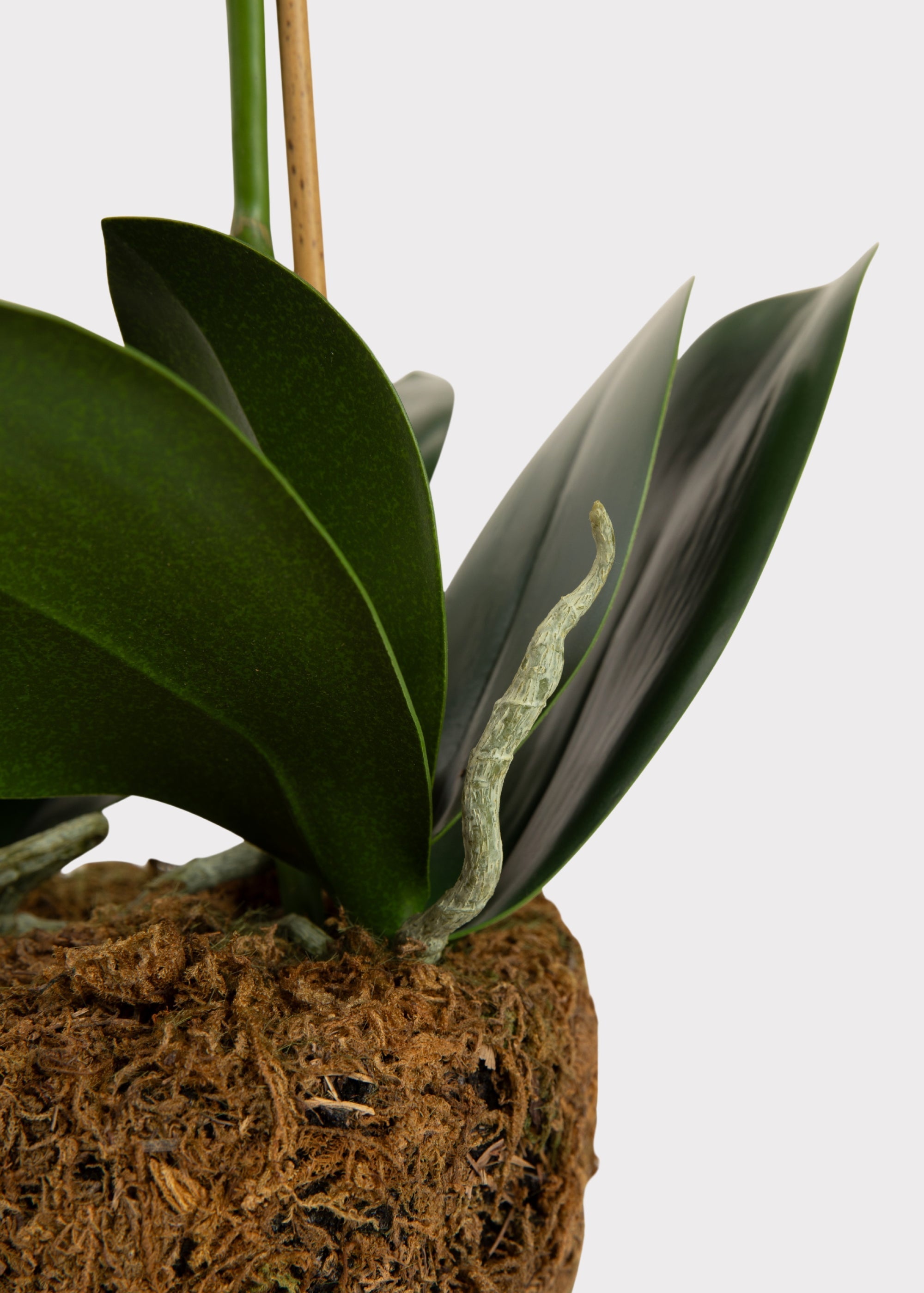 Blush Artificial Orchid Arrangement for Wedding Decor