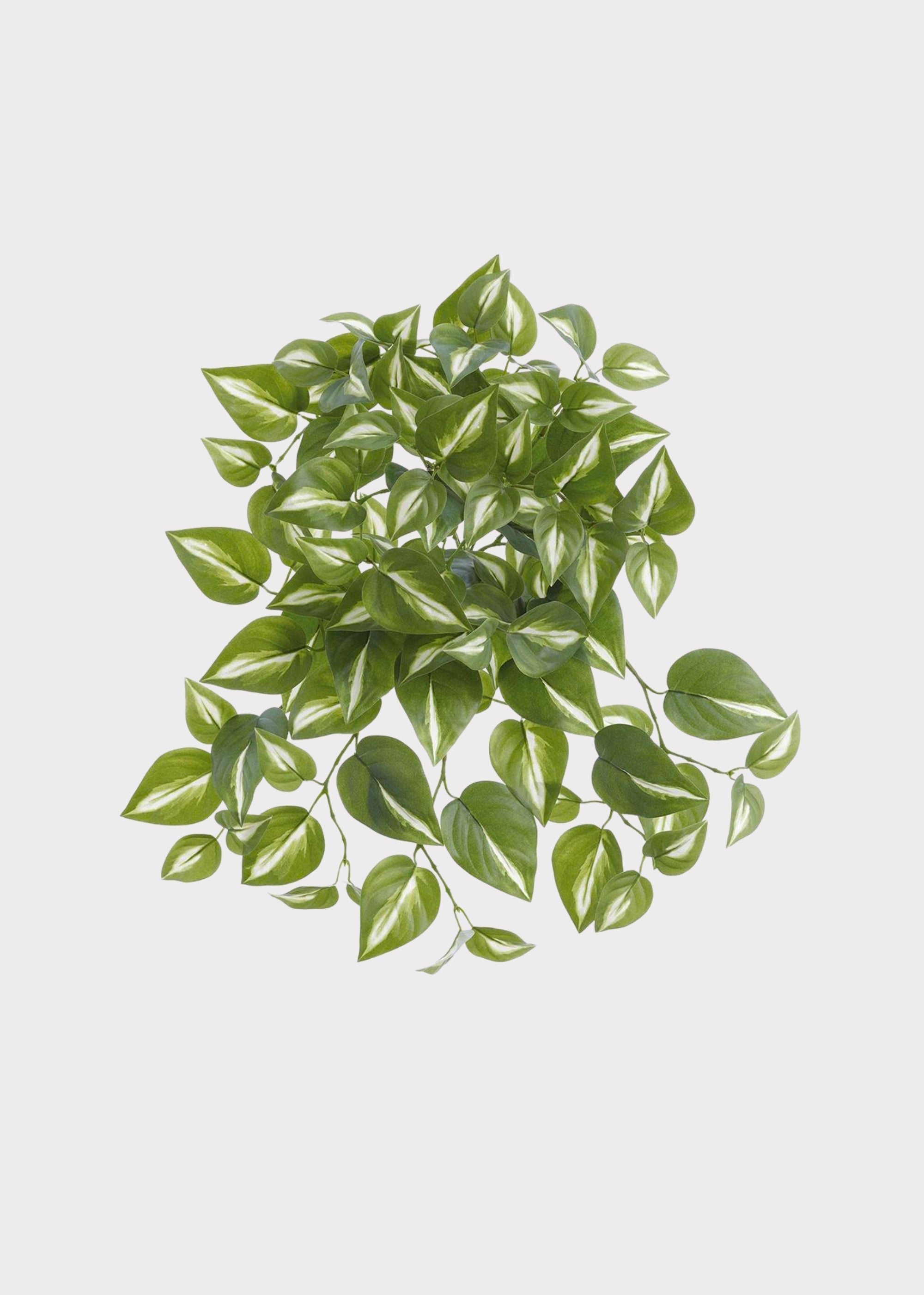 Green Artificial Philodendron Hanging for Vase Styling