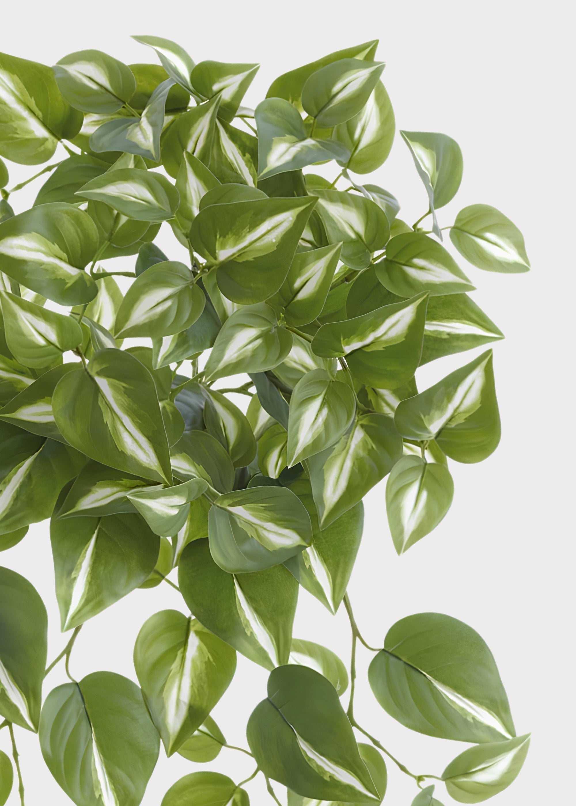 Green Artificial Philodendron Hanging for Home Decor