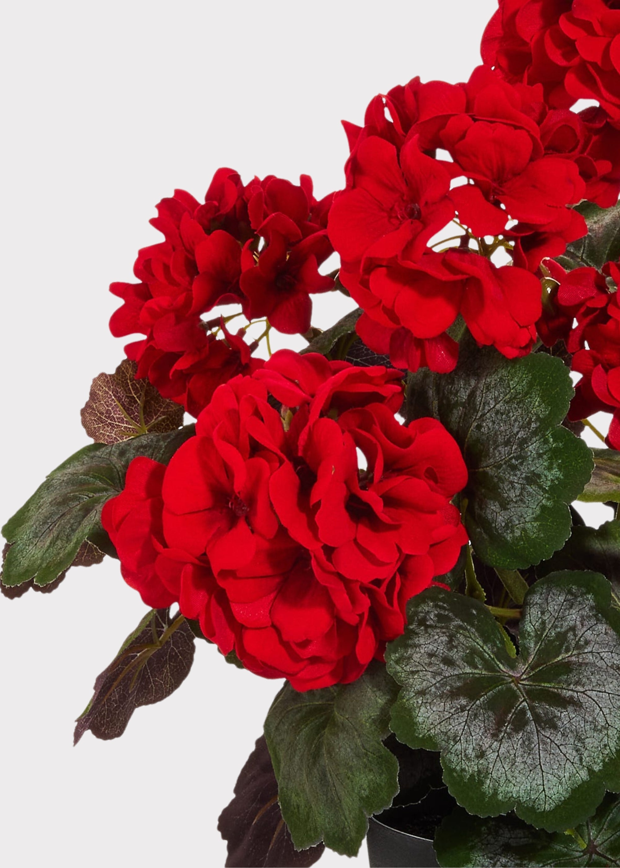 Red Artificial Geranium Arrangement for Home Decor
