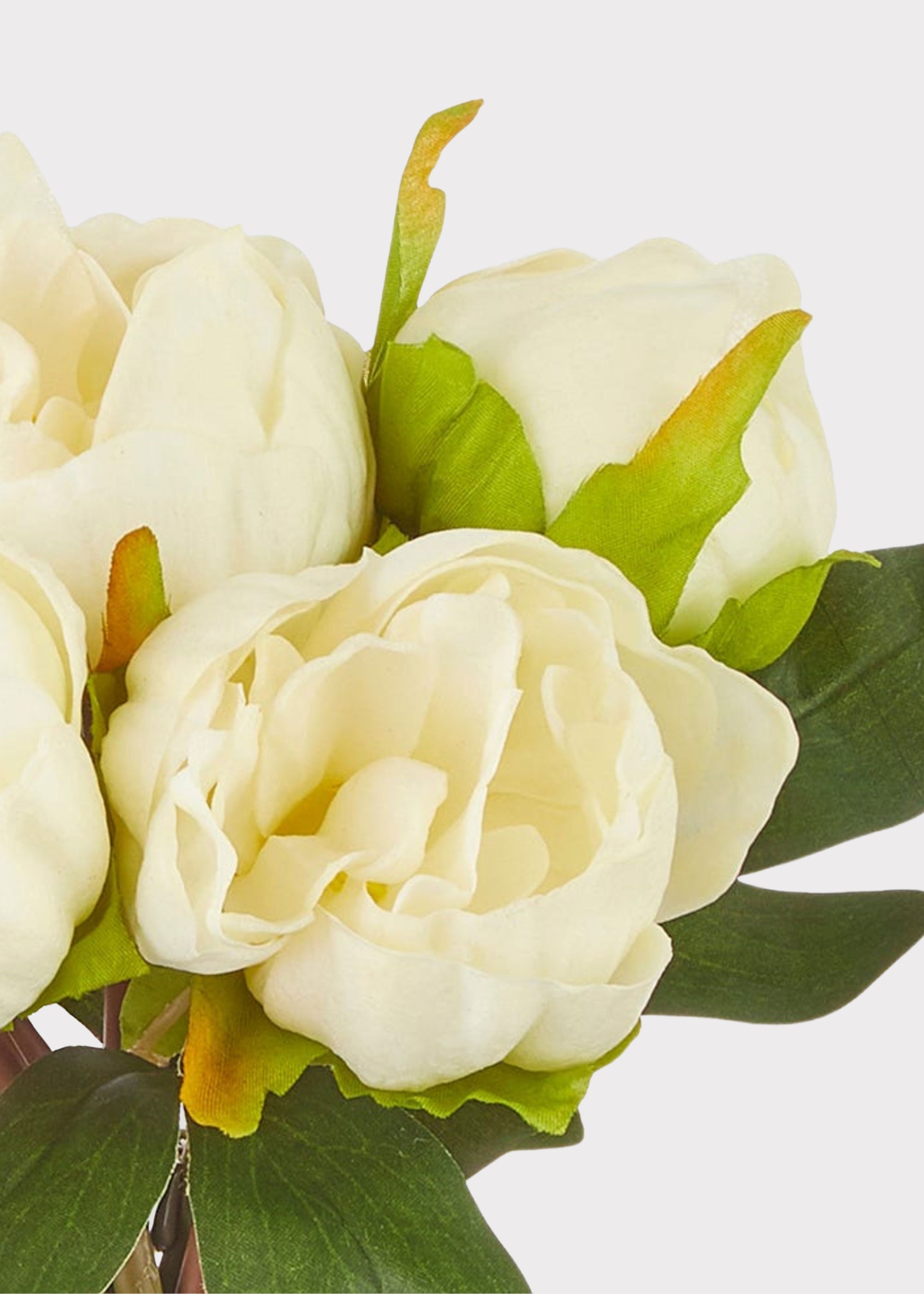 Cream Real Touch Artificial Peony Bundle for Table Centerpiece