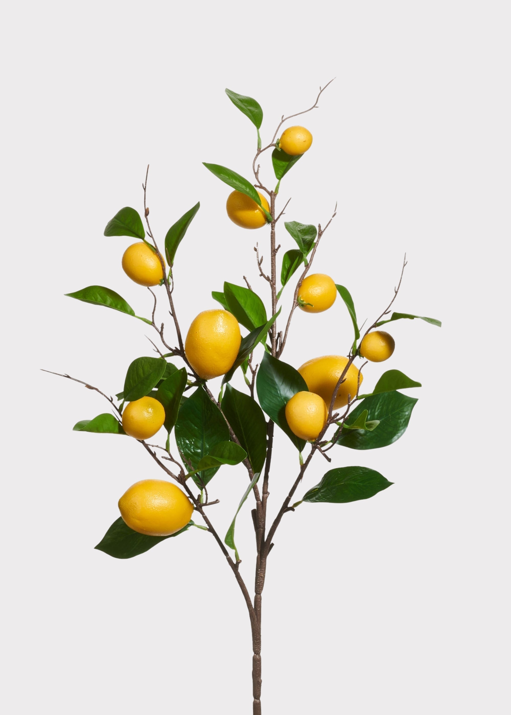 Yellow Artificial Lemon Fruit Branch for Vase Styling