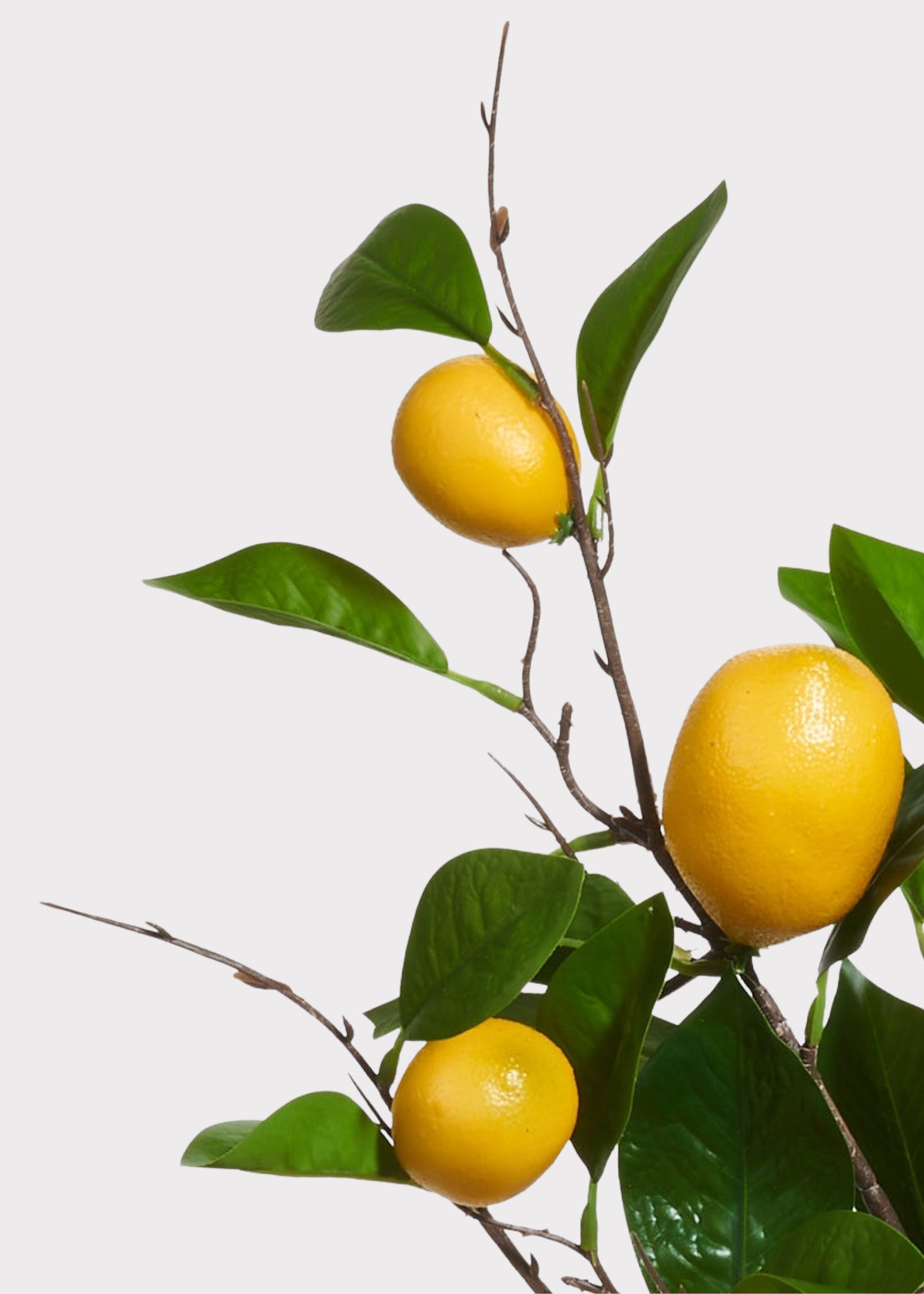 Yellow Artificial Lemon Fruit Branch for Home Decor