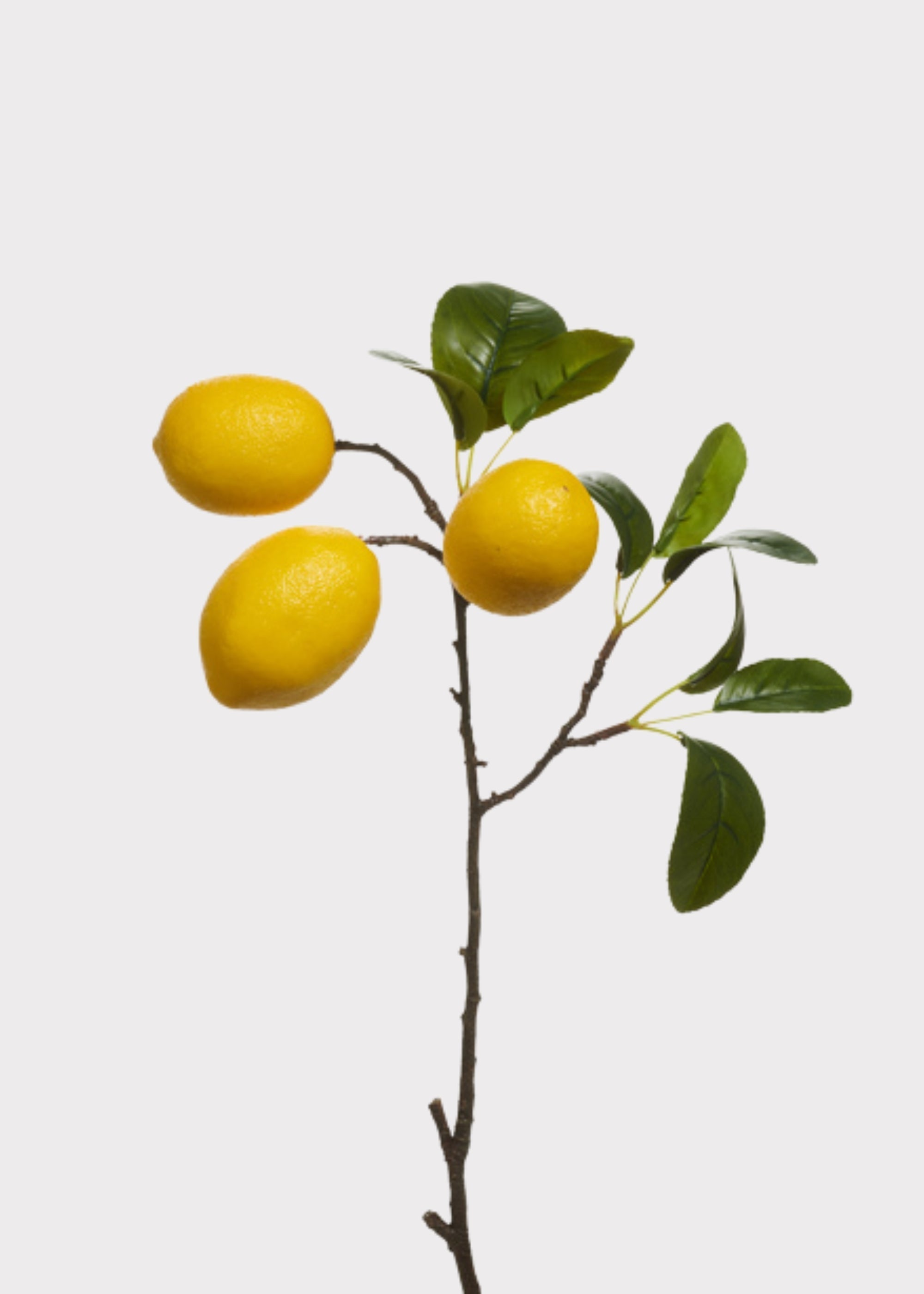Yellow Artificial Lemon Fruit Spray for Vase Styling