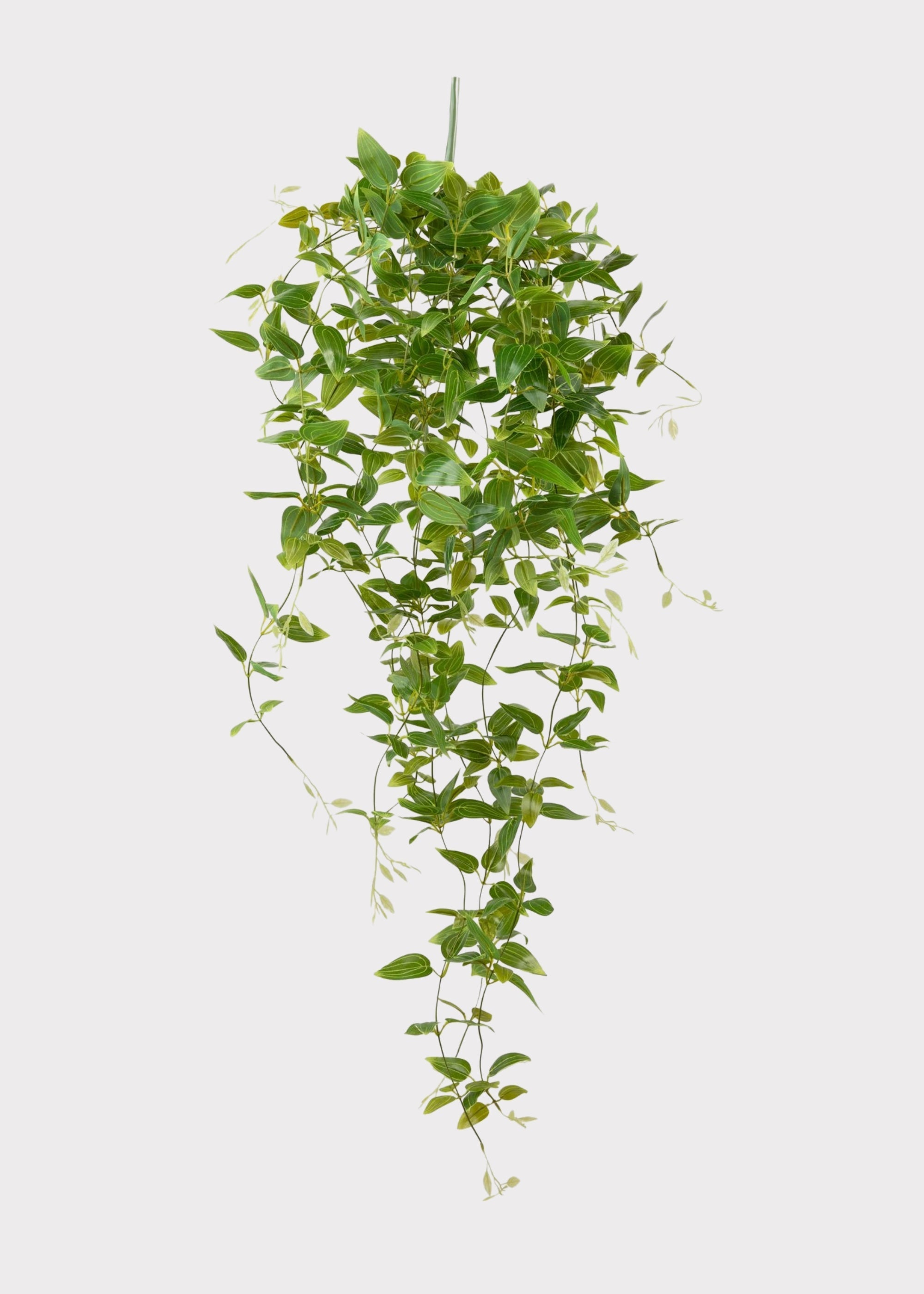 Green Artificial Deluxe Plants Hanging Tradescantia Houseplant for Table Centerpiece