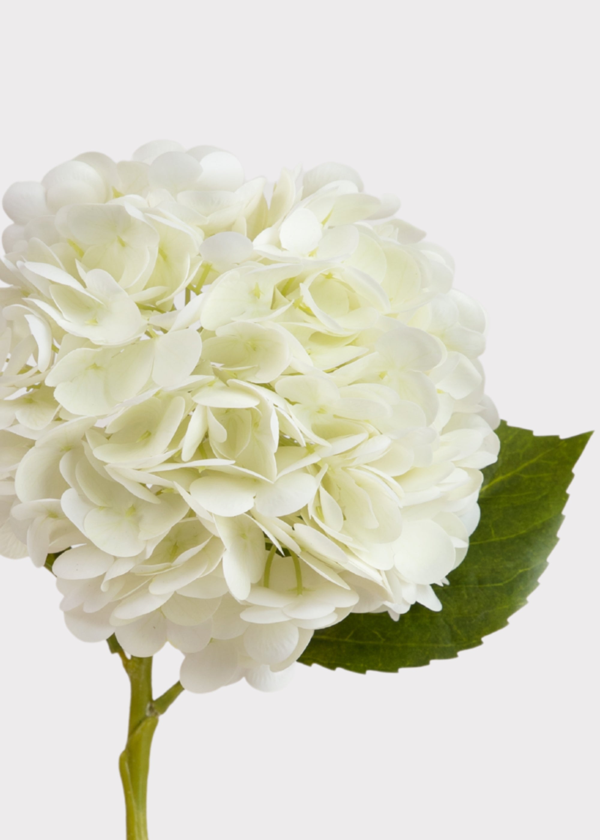 Cream Real Touch Artificial Hydrangea Stem for Table Centerpiece