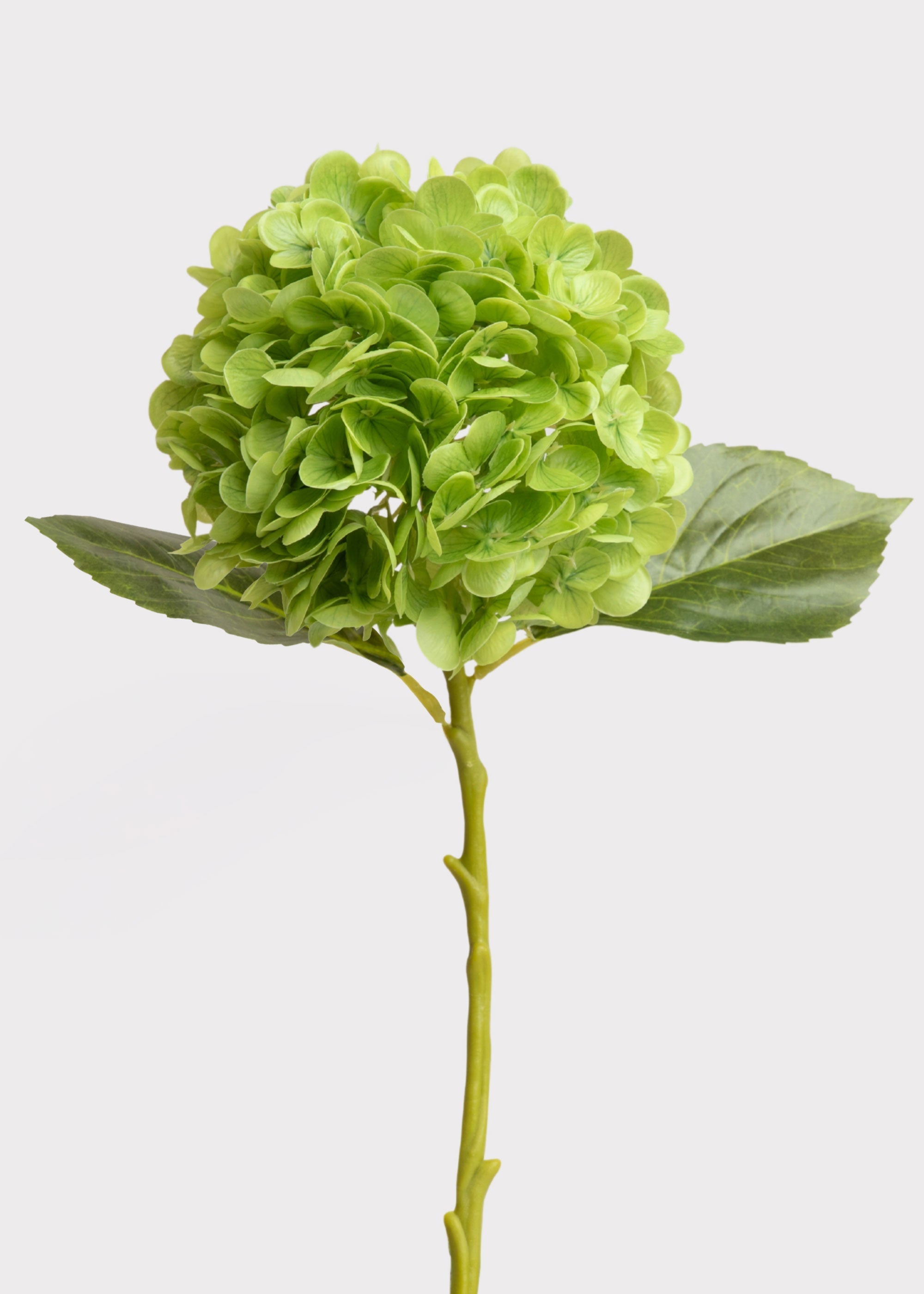 Green Real Touch Artificial Hydrangea Stem for Vase Styling