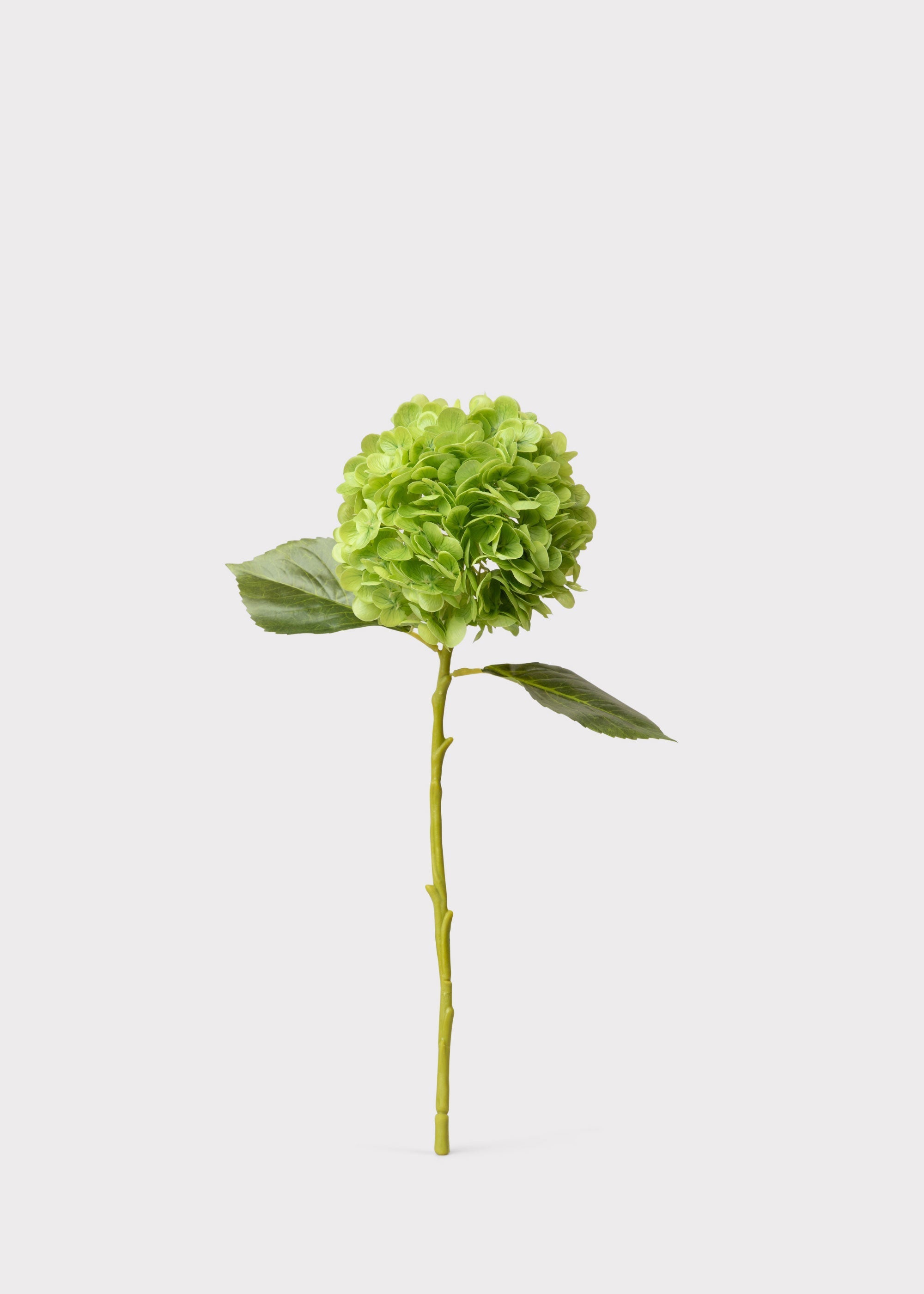 Green Real Touch Artificial Hydrangea Stem for Home Decor