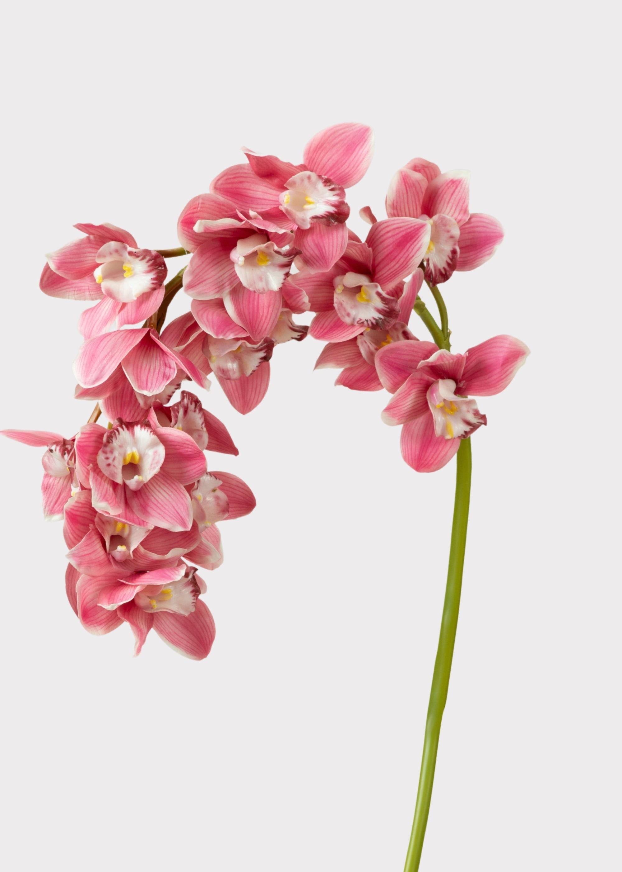 Pink Natural Touch Artificial Orchid Stem for Vase Styling