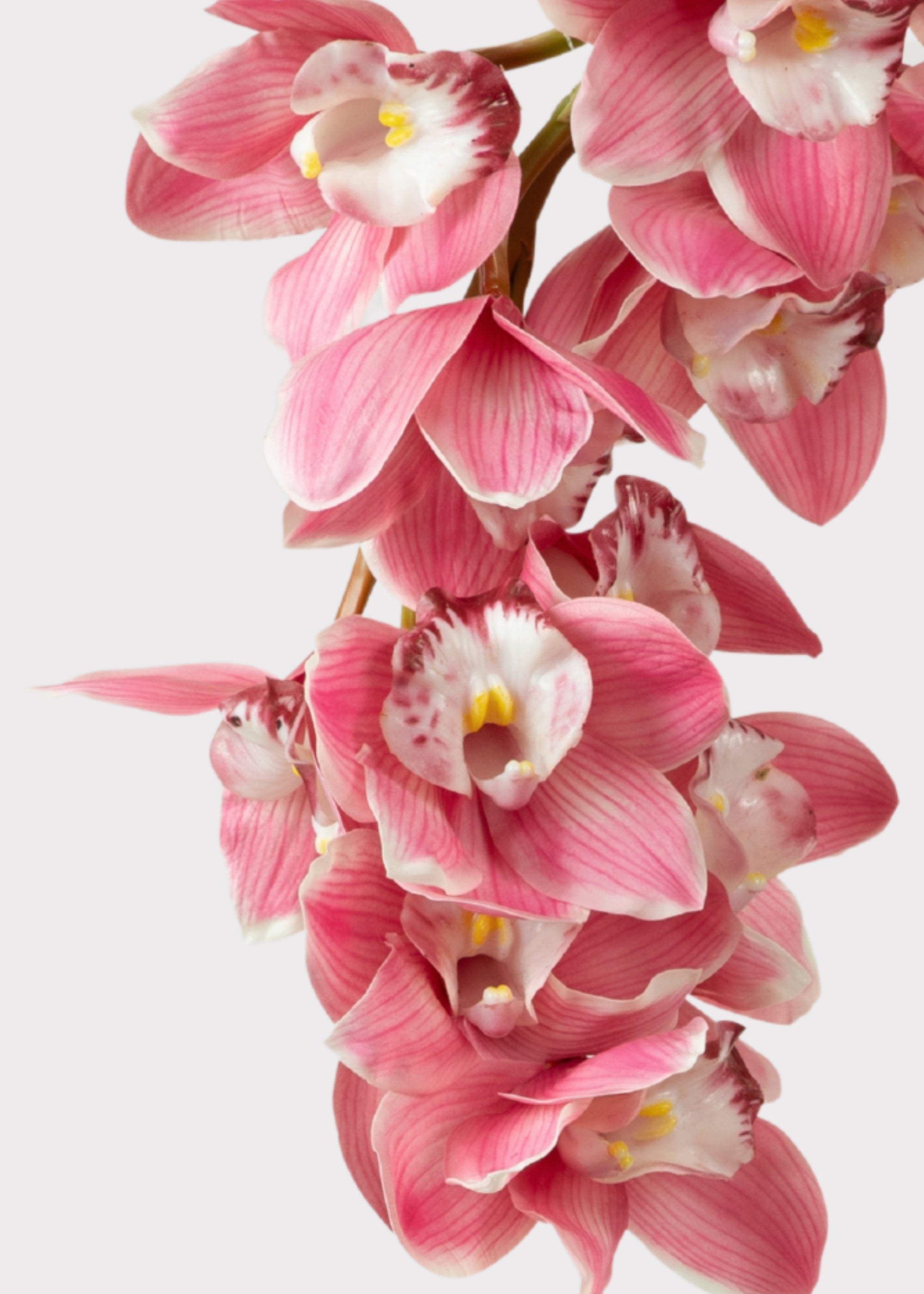 Pink Natural Touch Artificial Orchid Stem for Home Decor