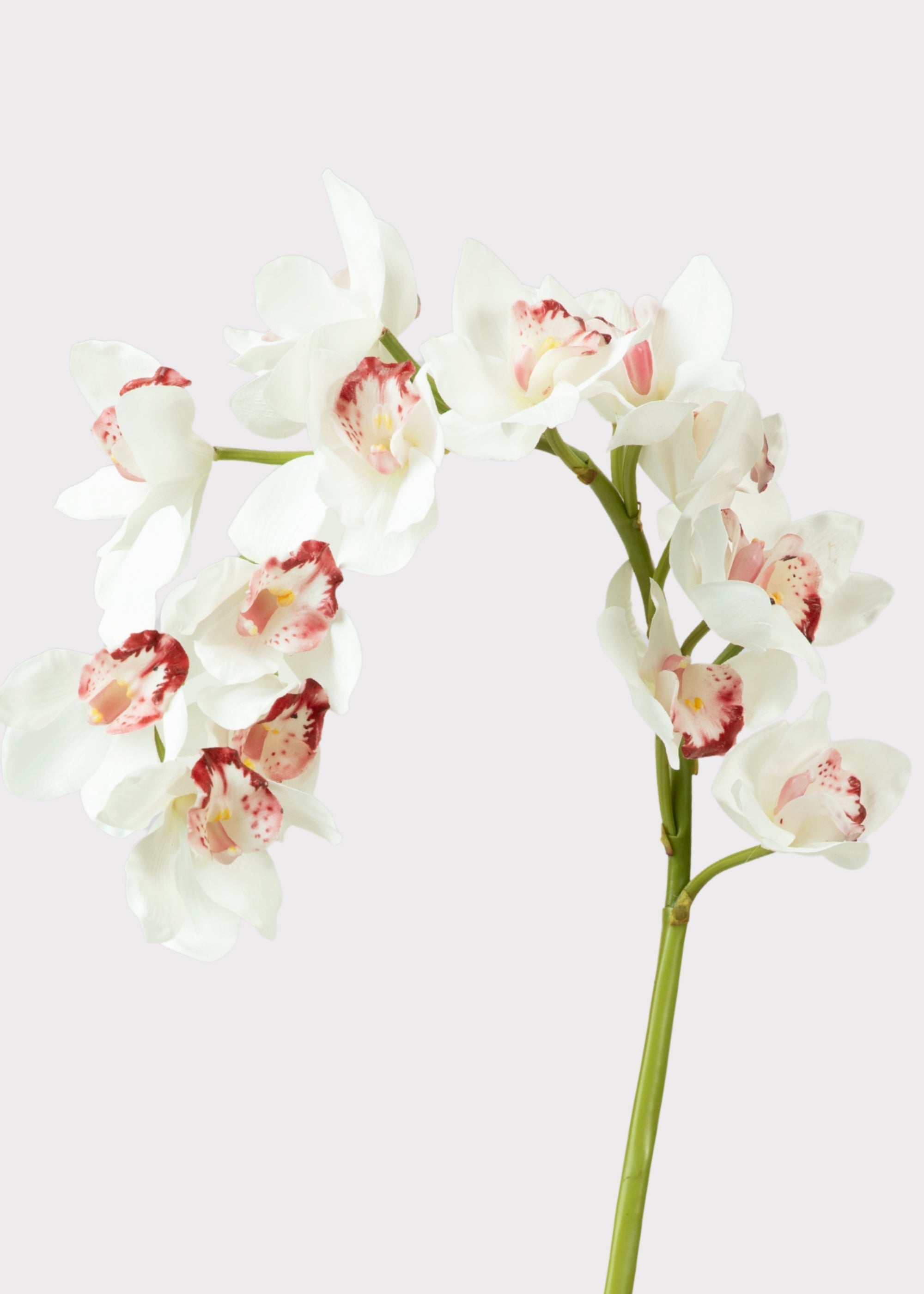 White Natural Touch Artificial Orchid Stem for Vase Styling