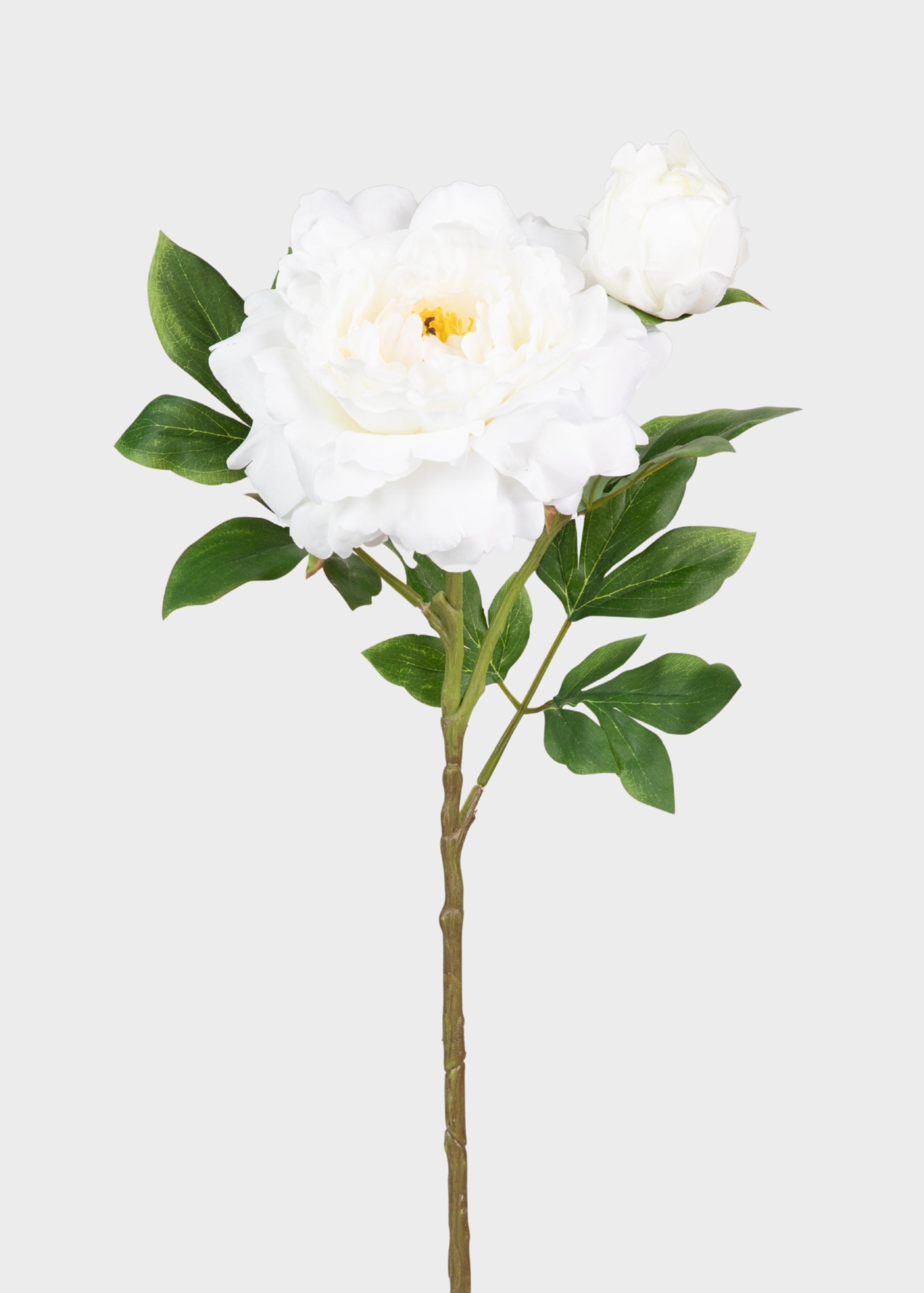 White Artificial Peony Stem for Vase Styling
