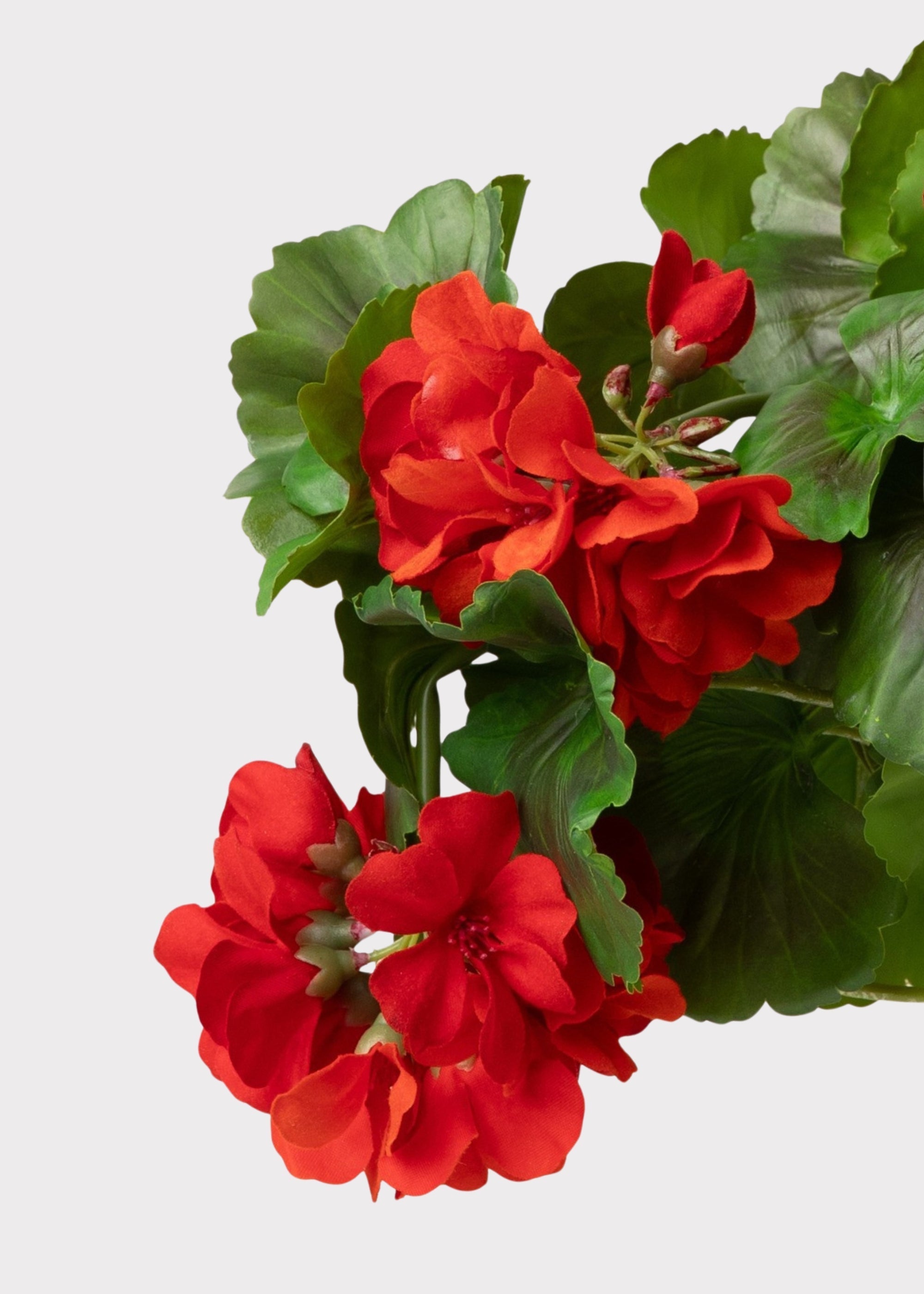 Natural Touch Artificial Geranium Pick for Wedding Decor