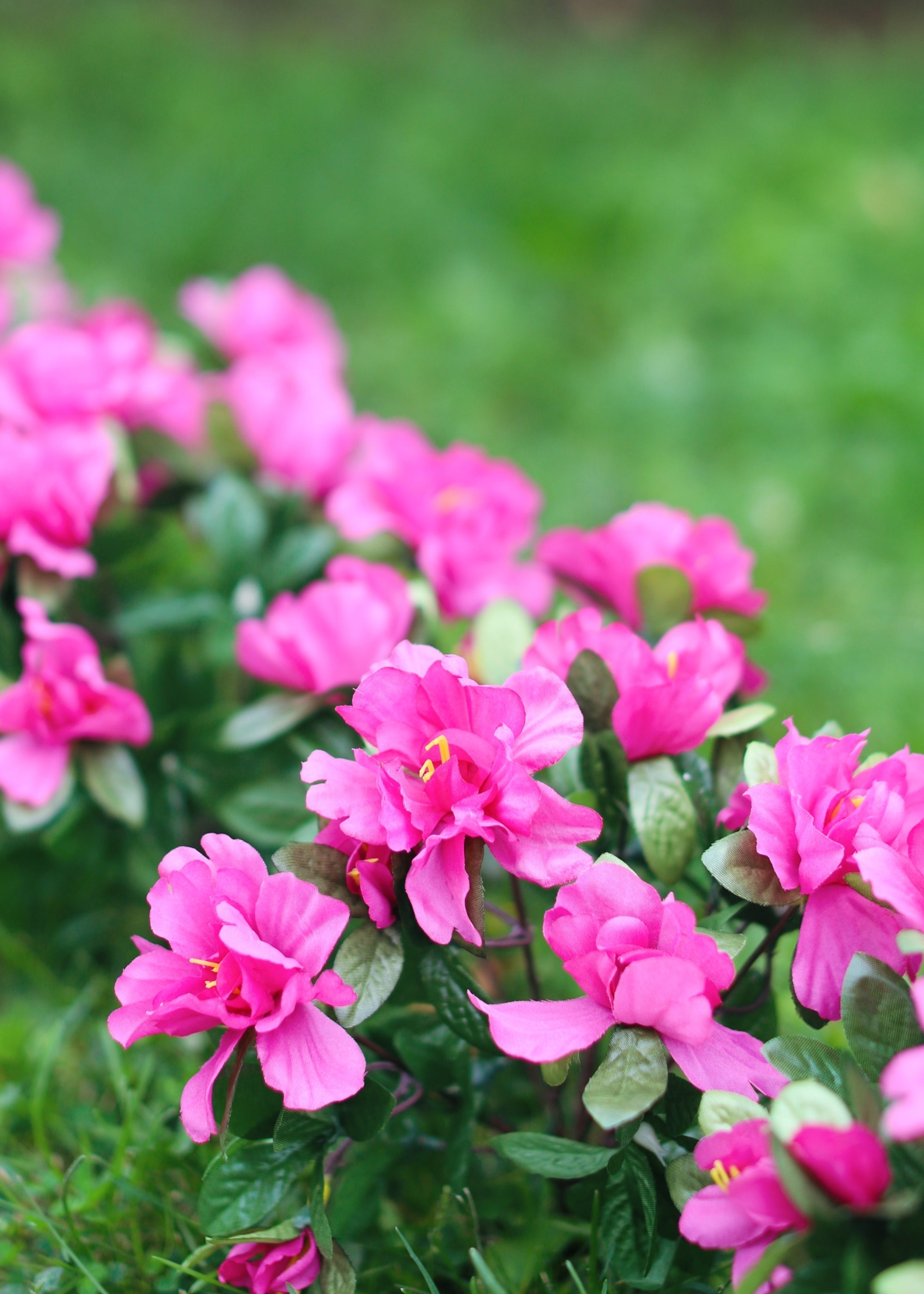 Artificial Azalea Bush for Entryway Arrangement