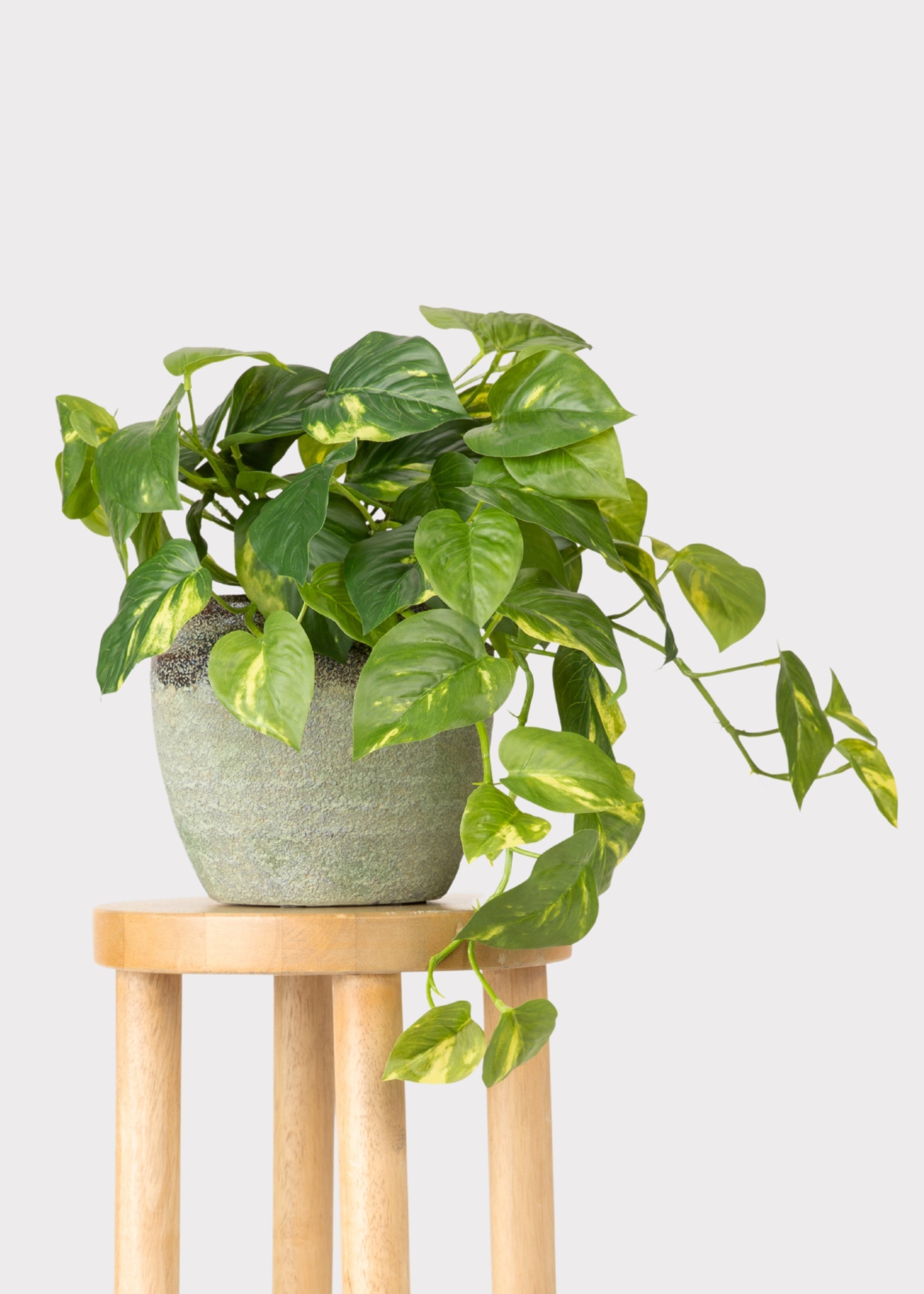 Green Artificial Pothos Hanging for Table Centerpiece