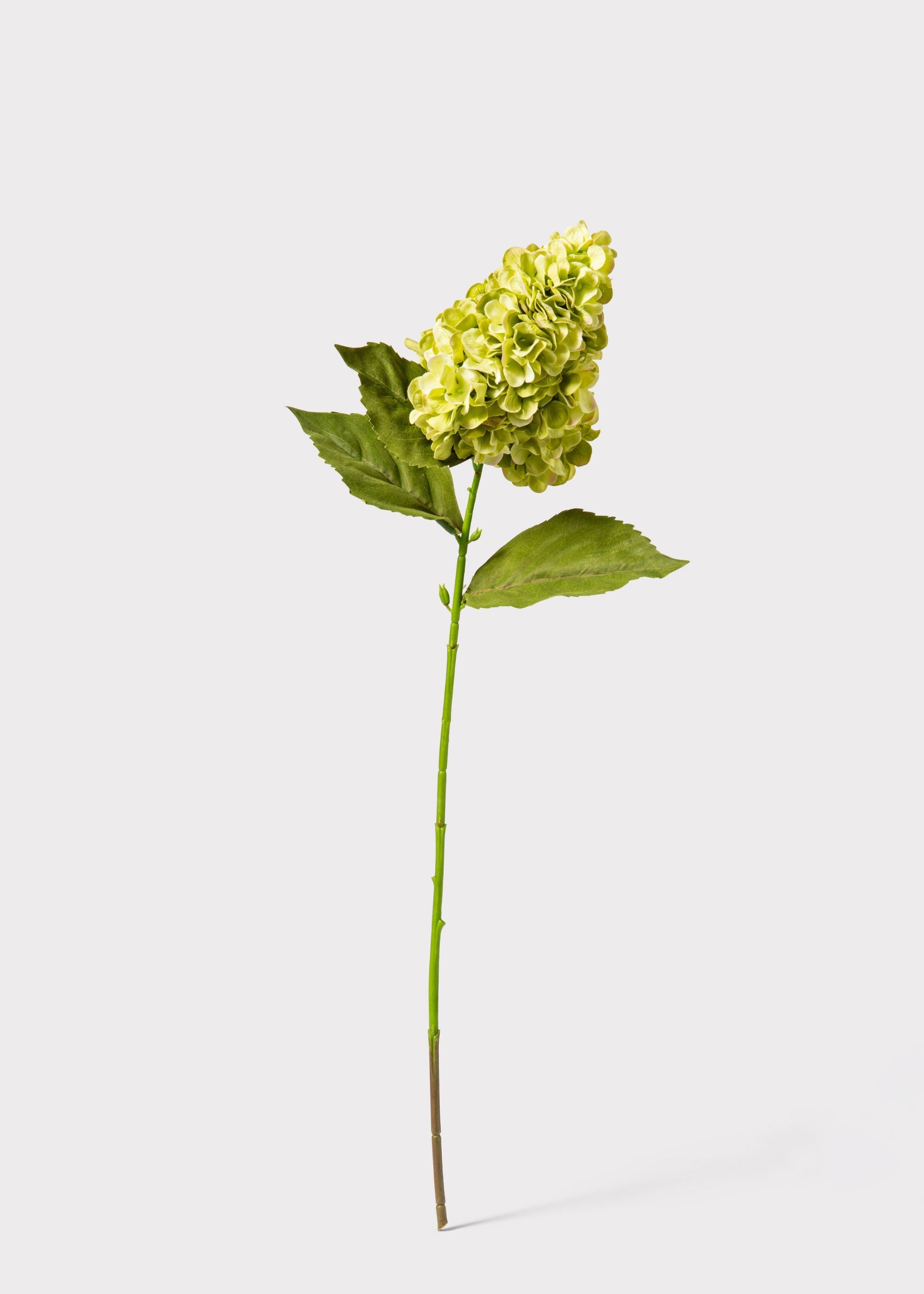 Green Artificial Hydrangea Stem for Home Decor