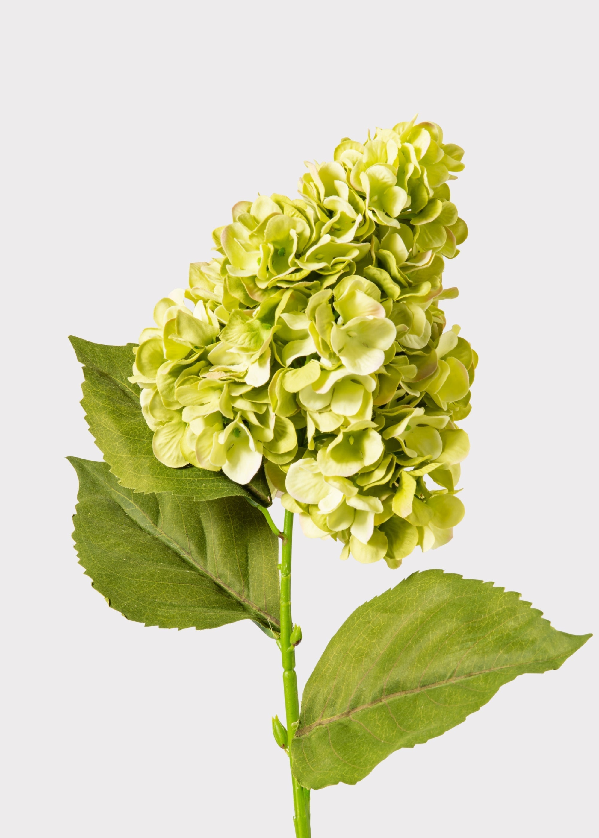 Green Artificial Hydrangea Stem for Vase Styling