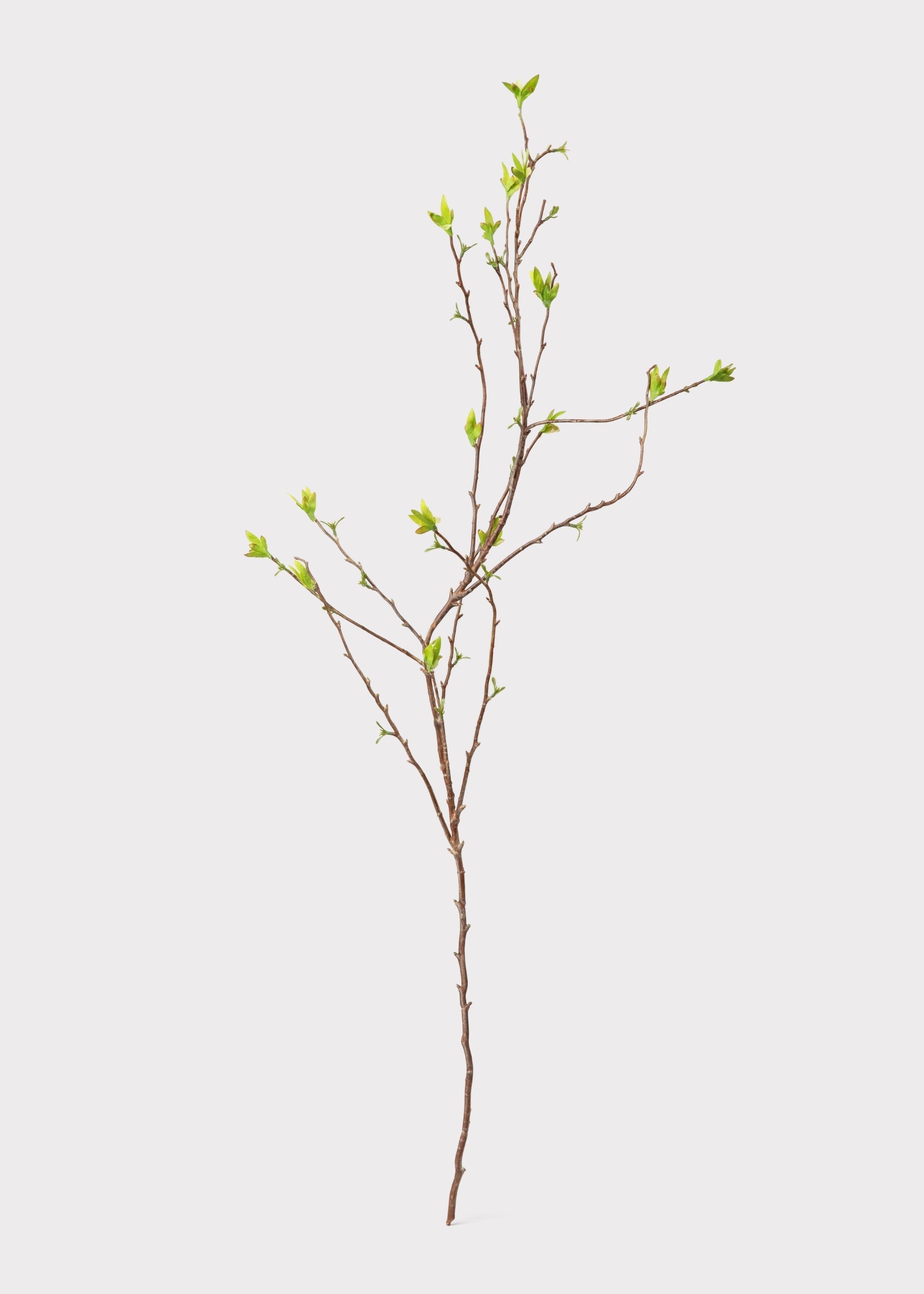 Green Artificial Willow Branch for Table Centerpiece