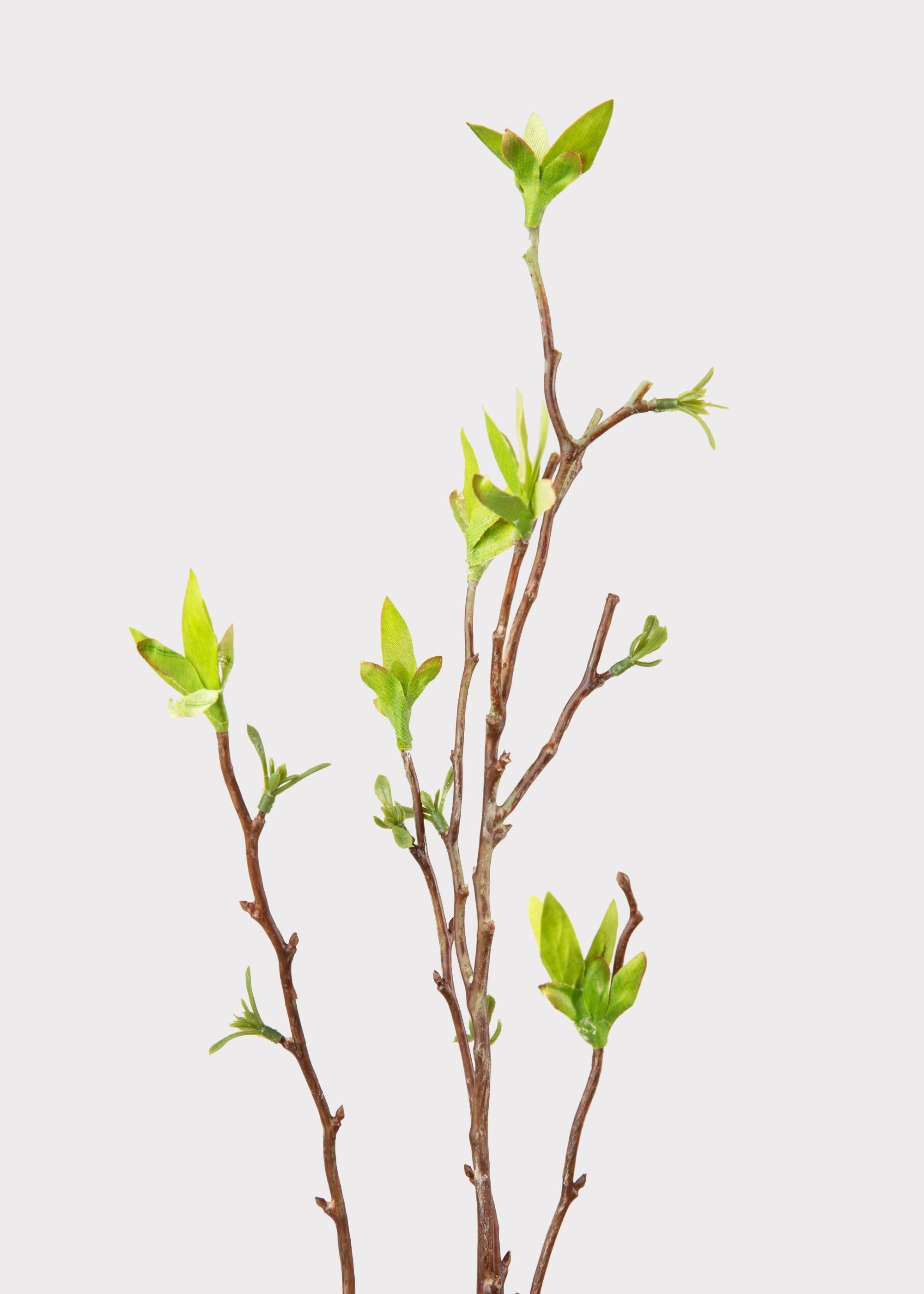 Green Artificial Willow Branch for Home Decor