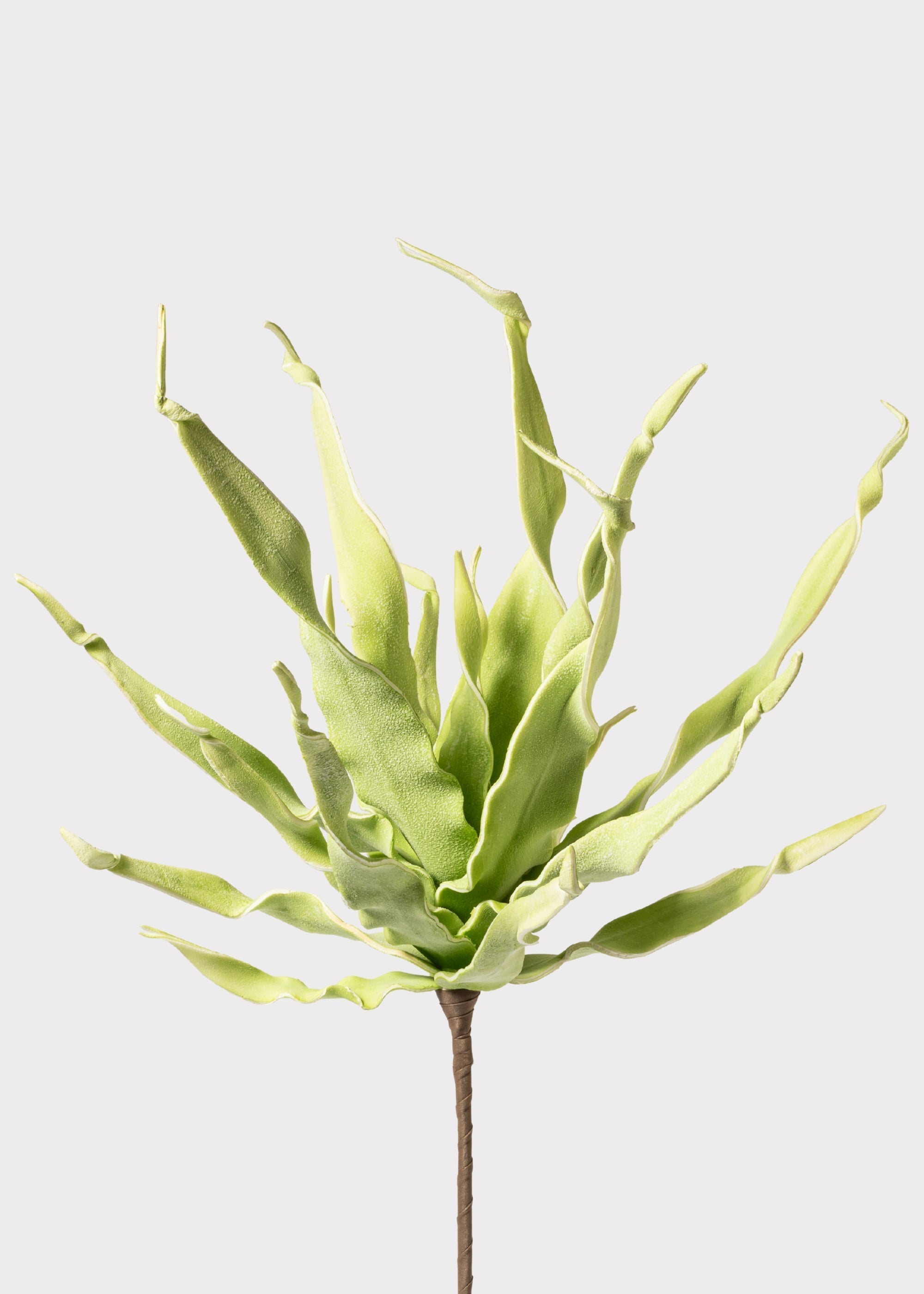 Green Artificial Succulent Stem for Vase Styling
