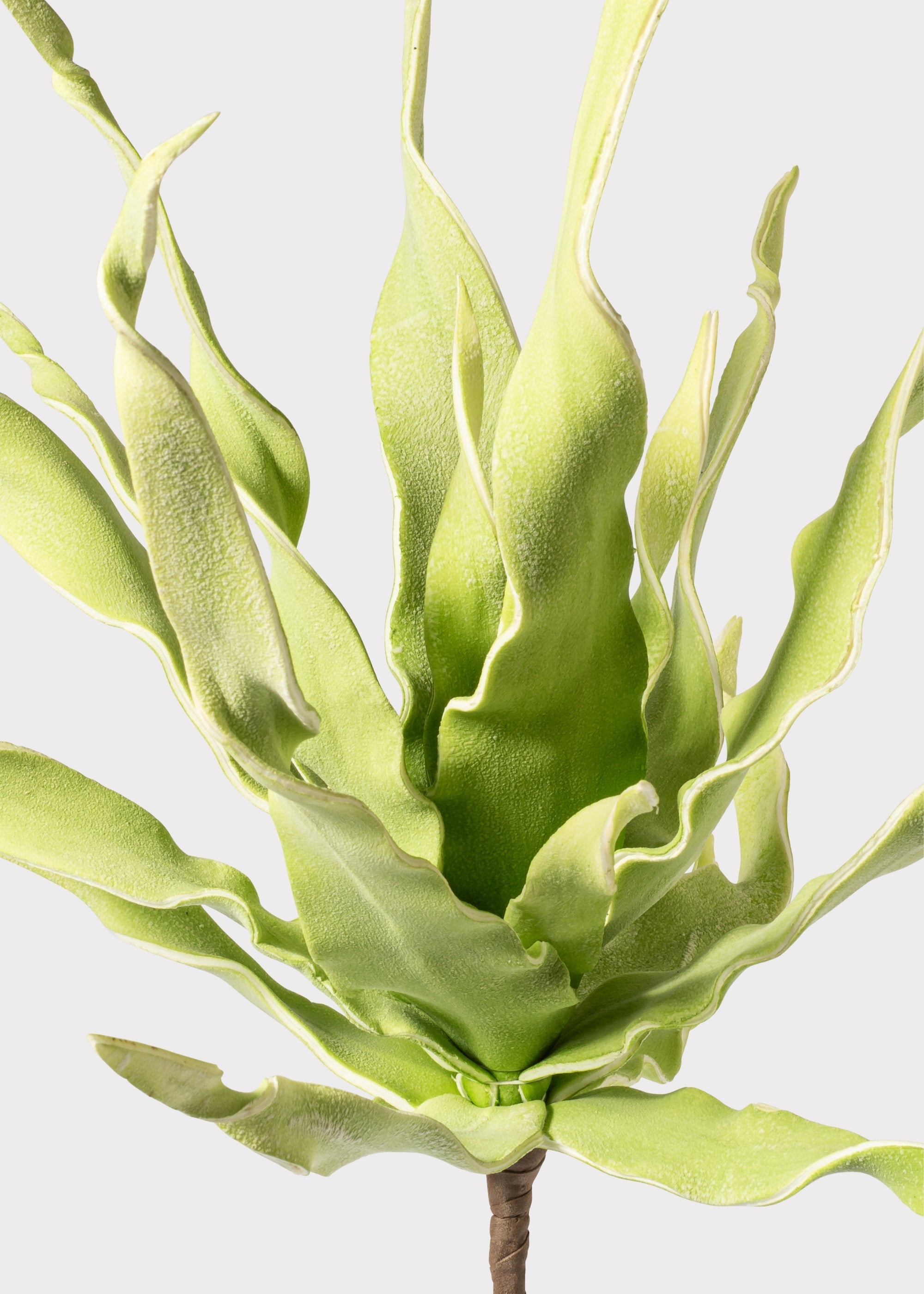 Green Artificial Succulent Stem for Home Decor