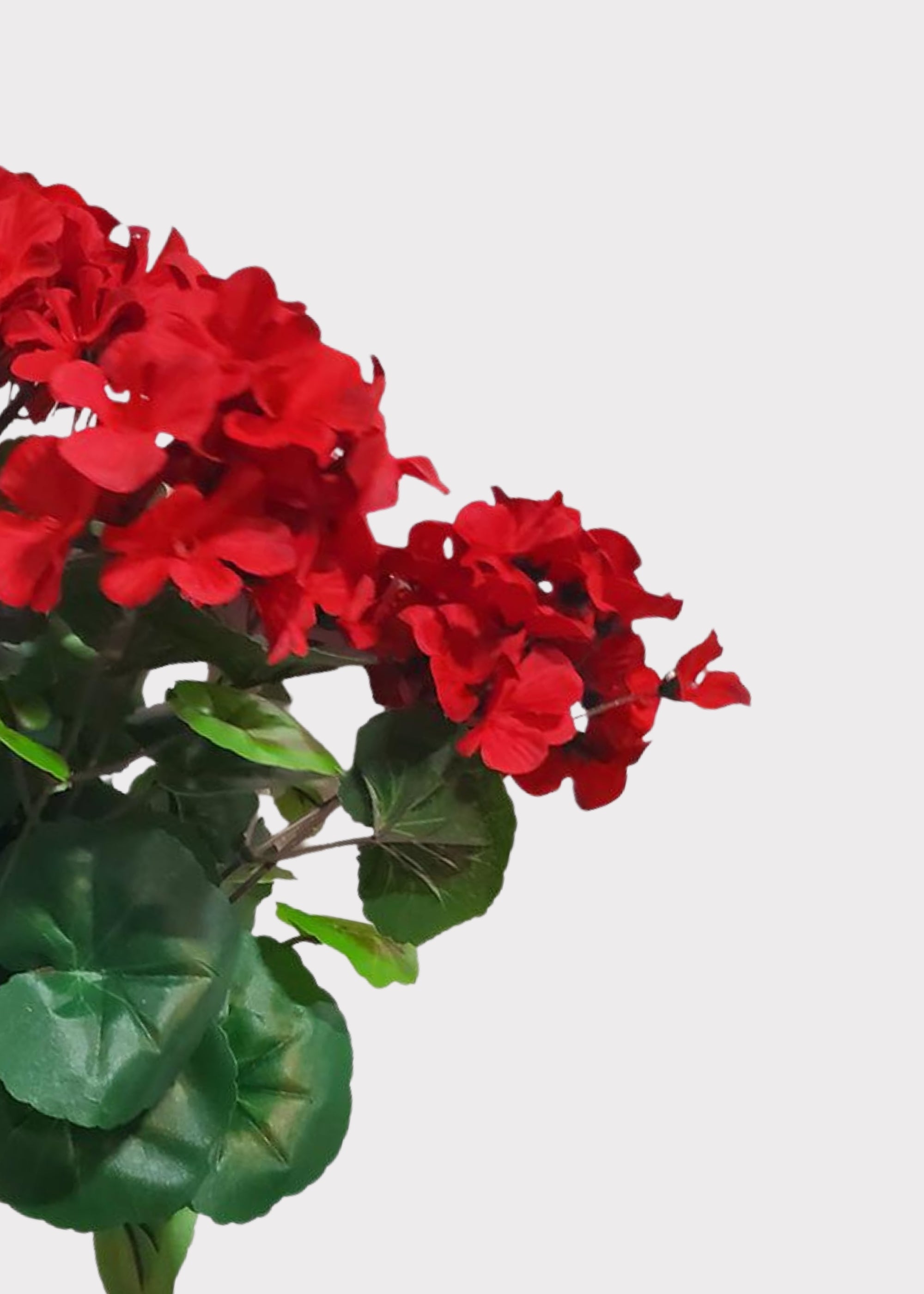 Red Artificial Geranium Bush for Table Centerpiece