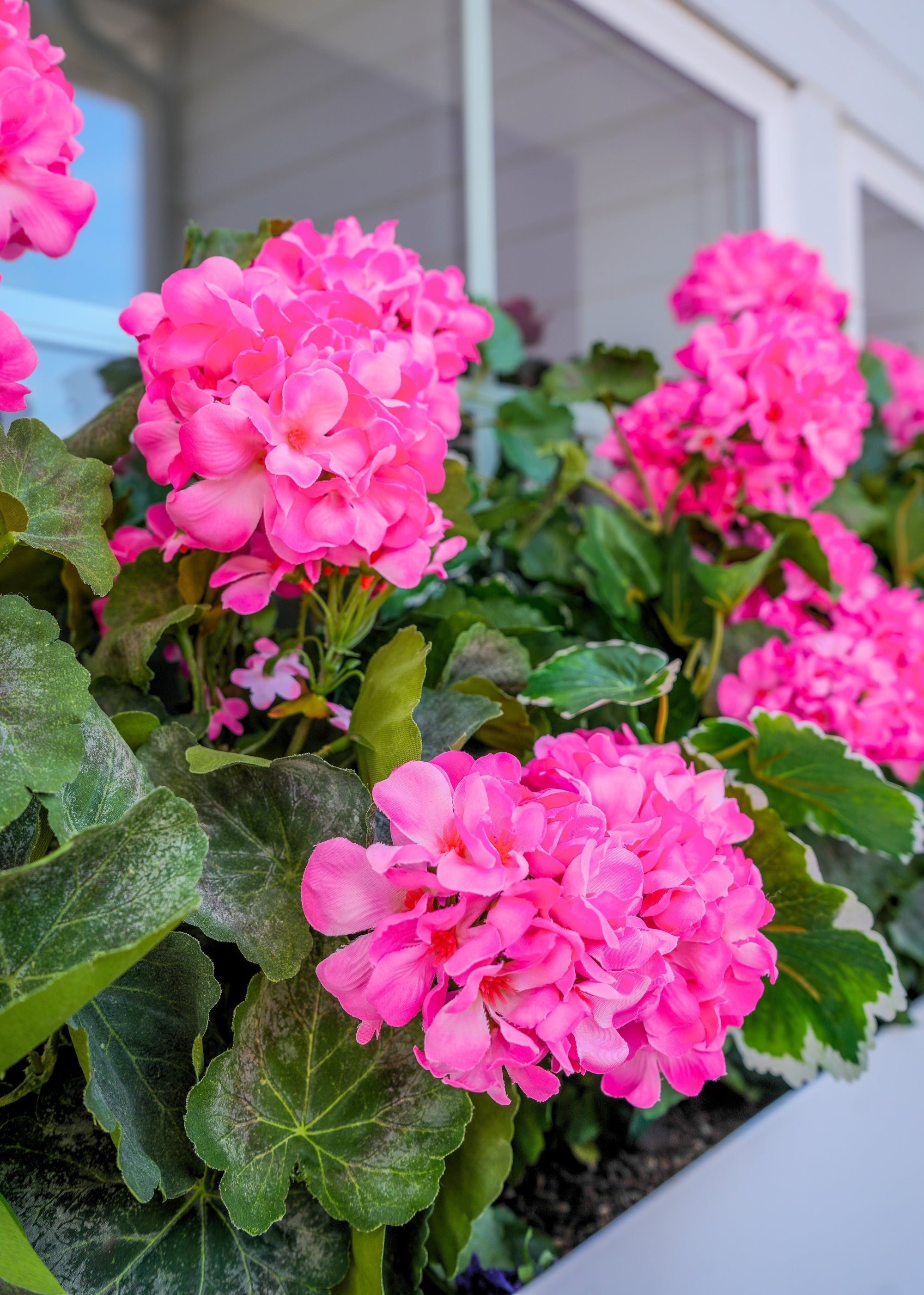 Pink Artificial Geranium Bush for Wedding Decor