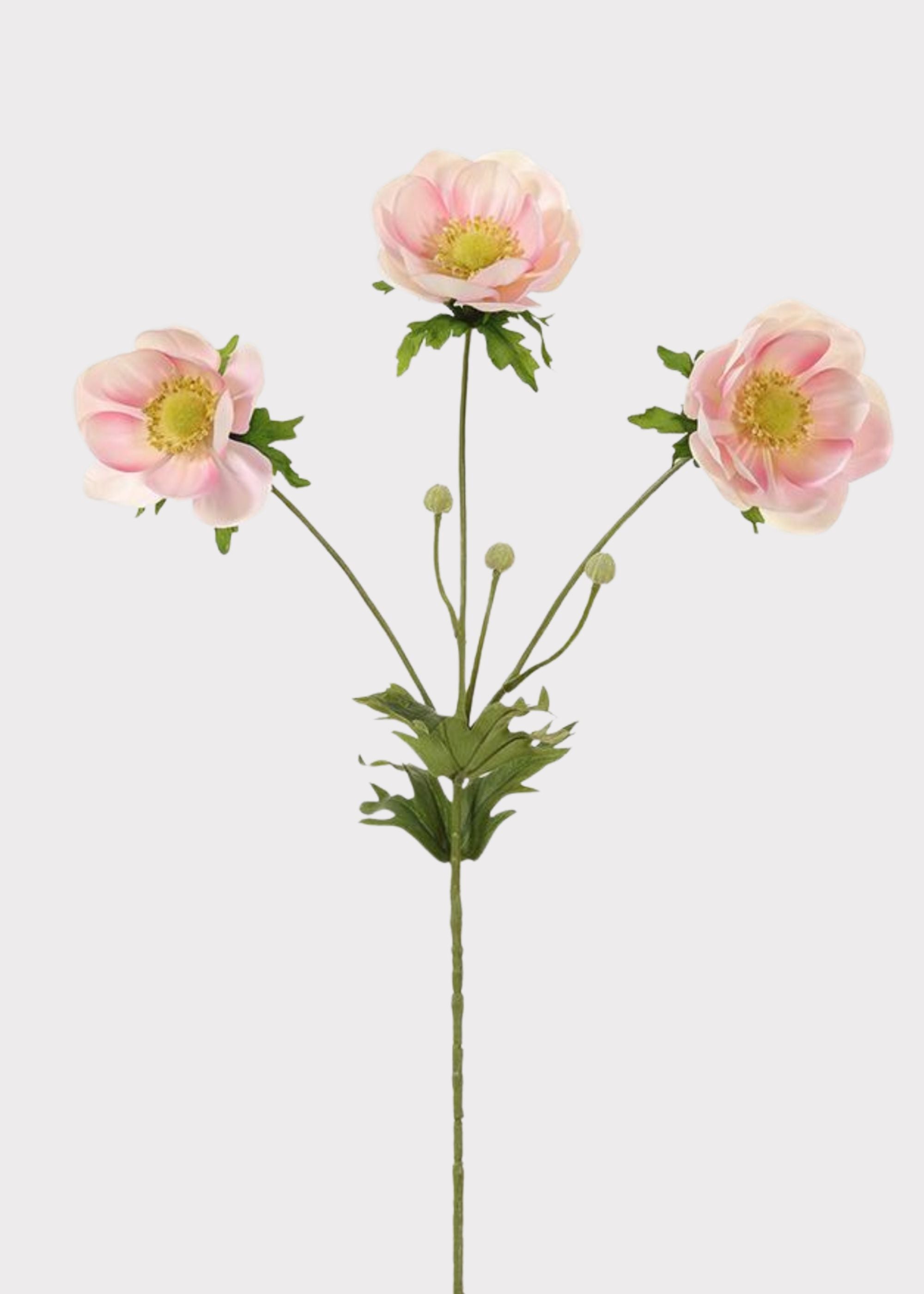 Cream Artificial Anemone Stem for Vase Styling