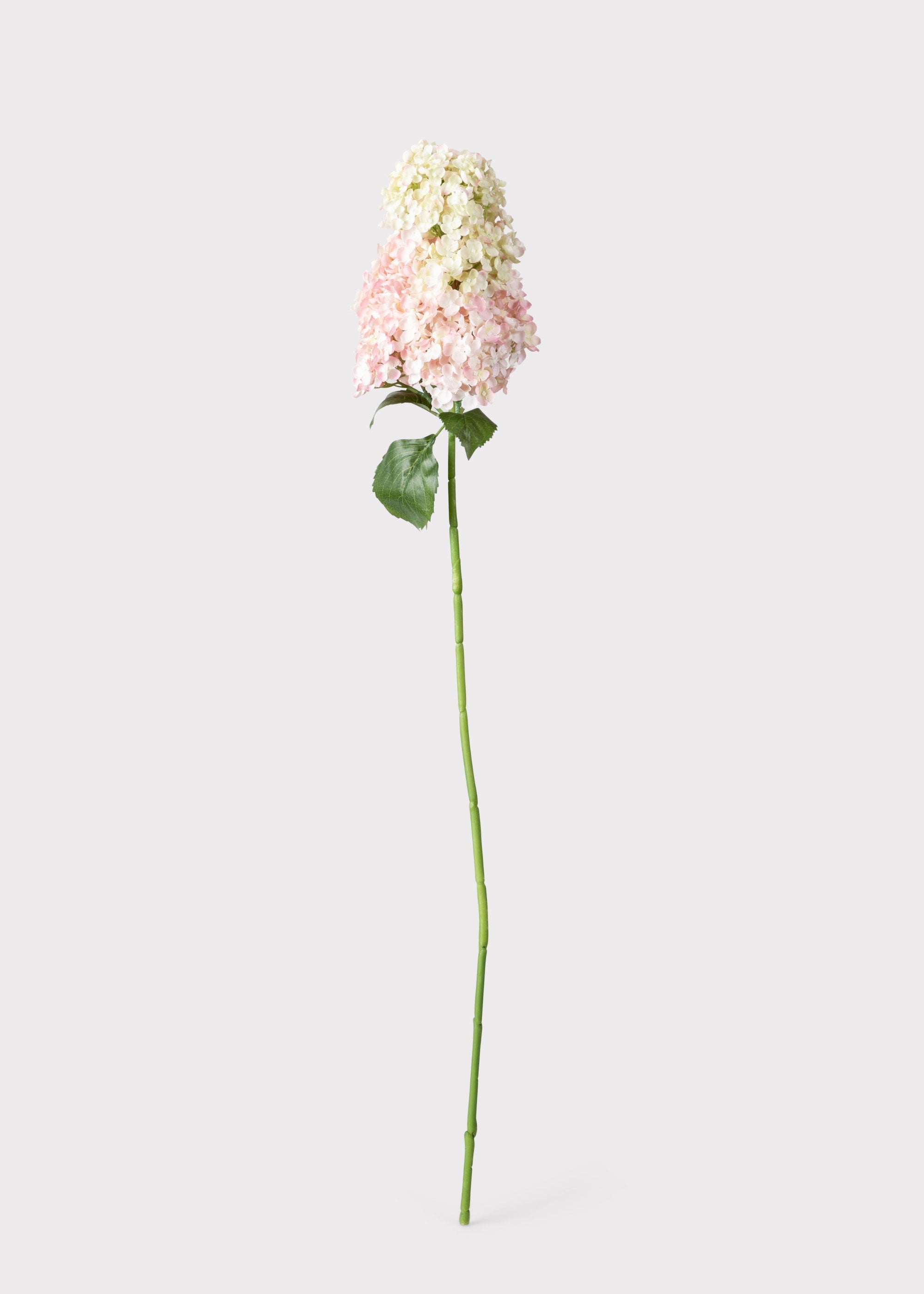 Cream Artificial Hydrangea Stem for Home Decor