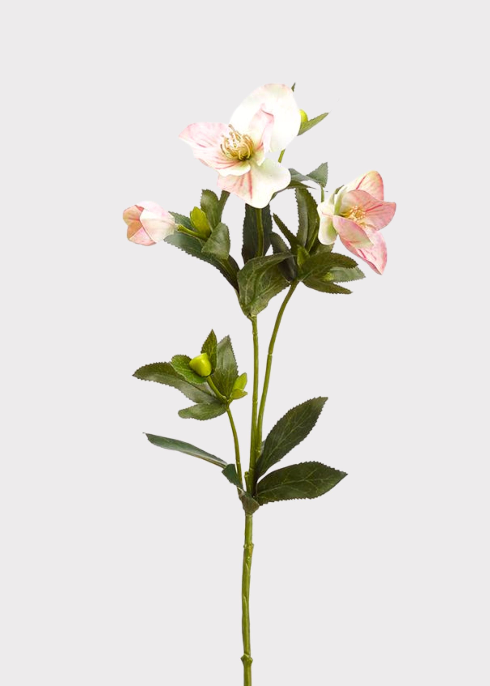 Pink Artificial Hellebore Spray for Vase Styling