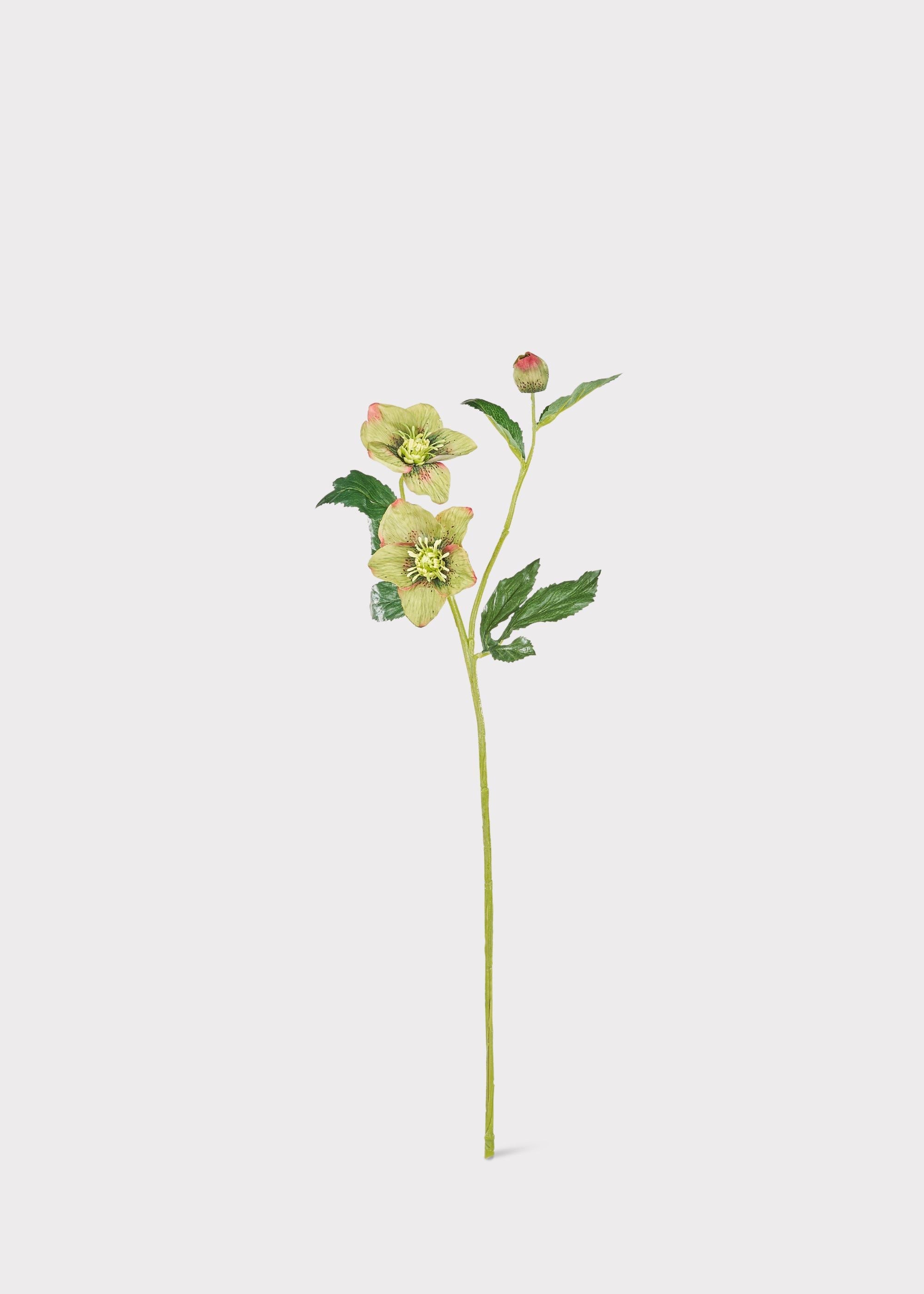 Burgundy Artificial Hellebore Stem for Table Centerpiece