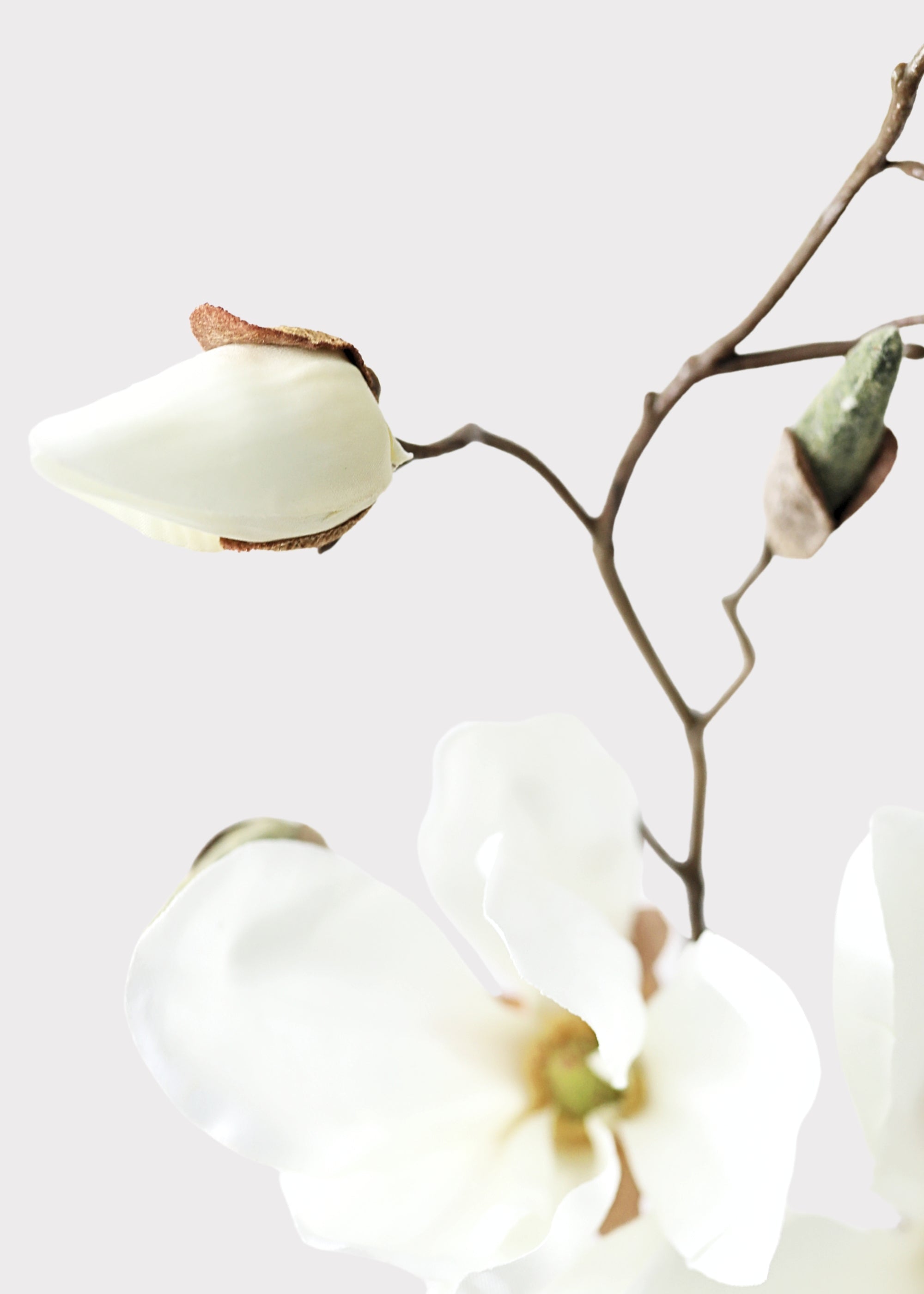 Cream Artificial Magnolia Stem for Table Centerpiece