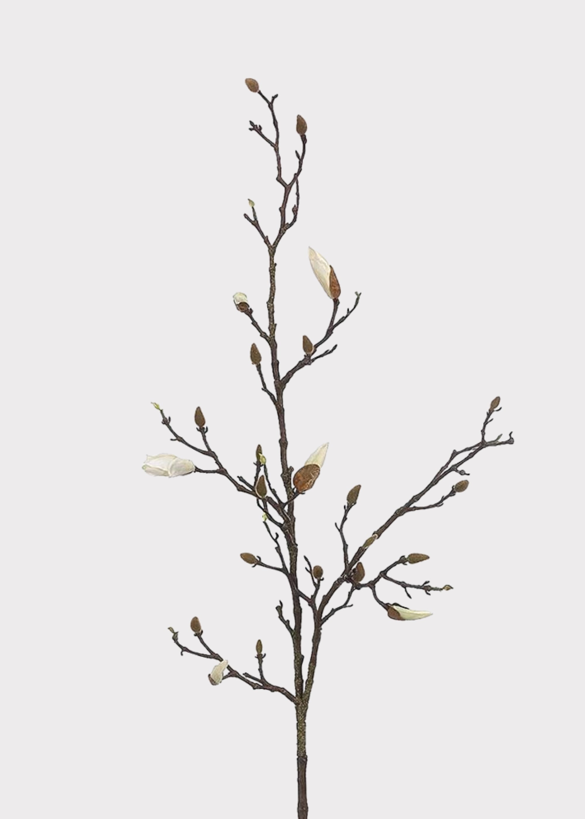 Cream Artificial Magnolia Branch for Vase Styling
