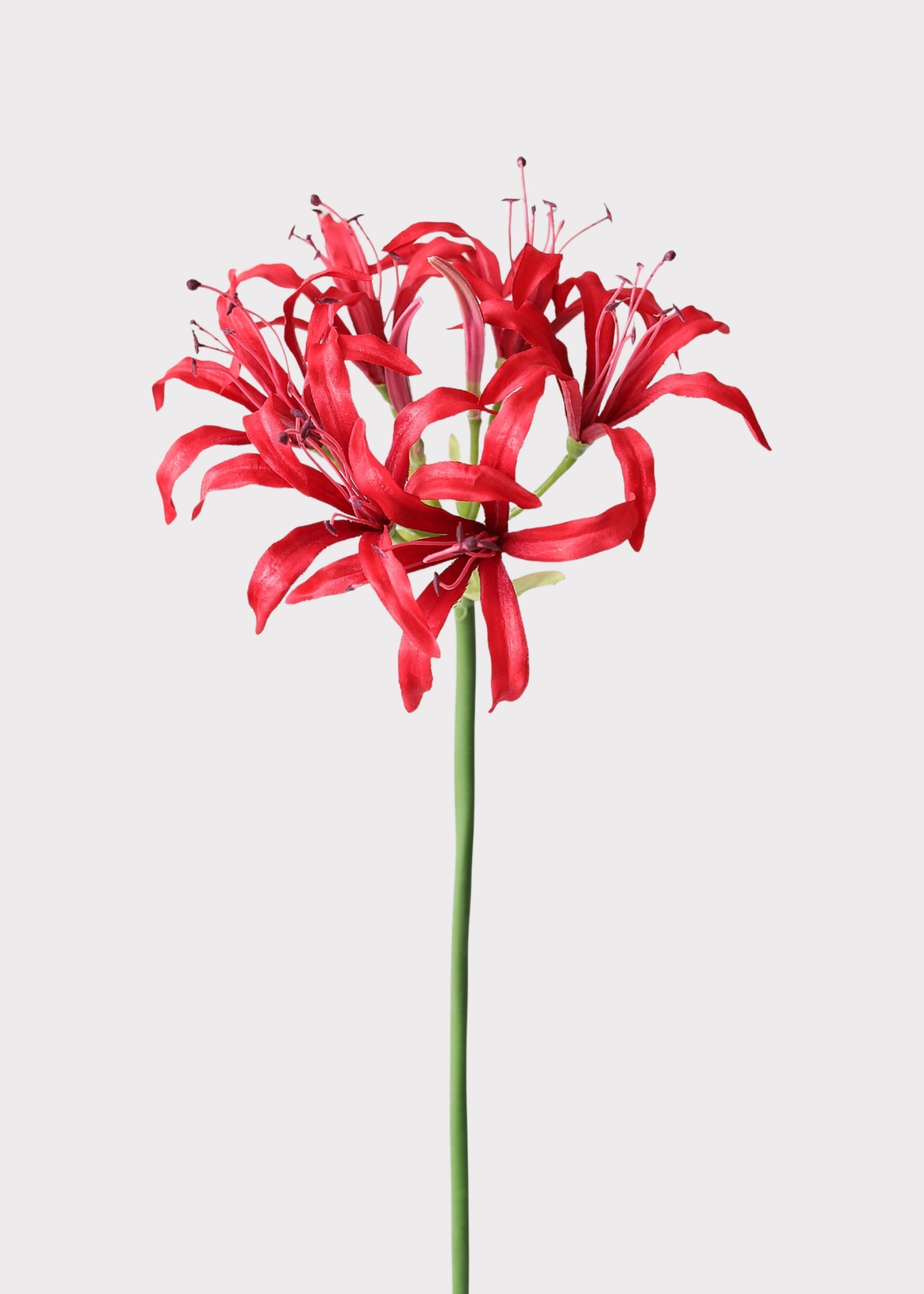 Red Artificial Lily Stem for Vase Styling