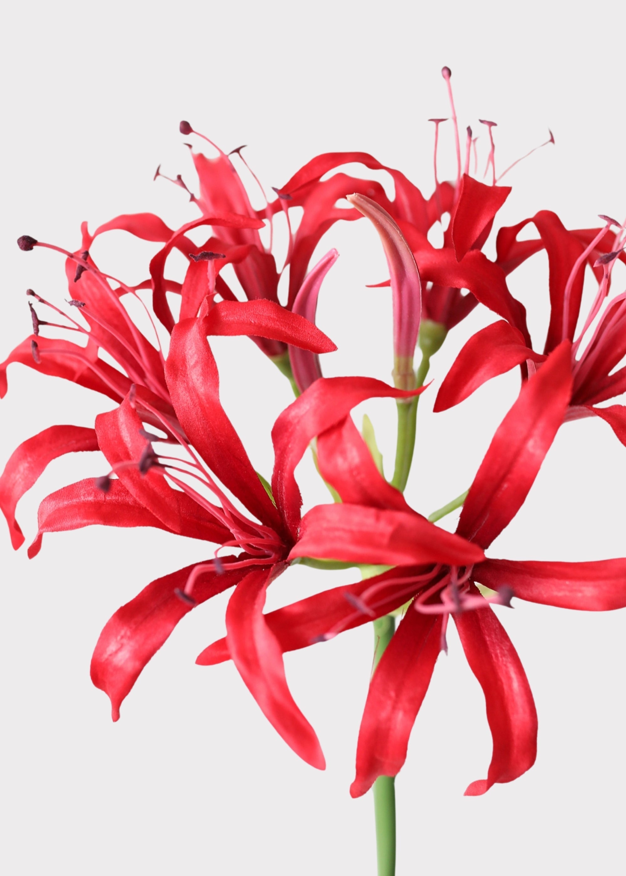 Red Artificial Lily Stem for Home Decor