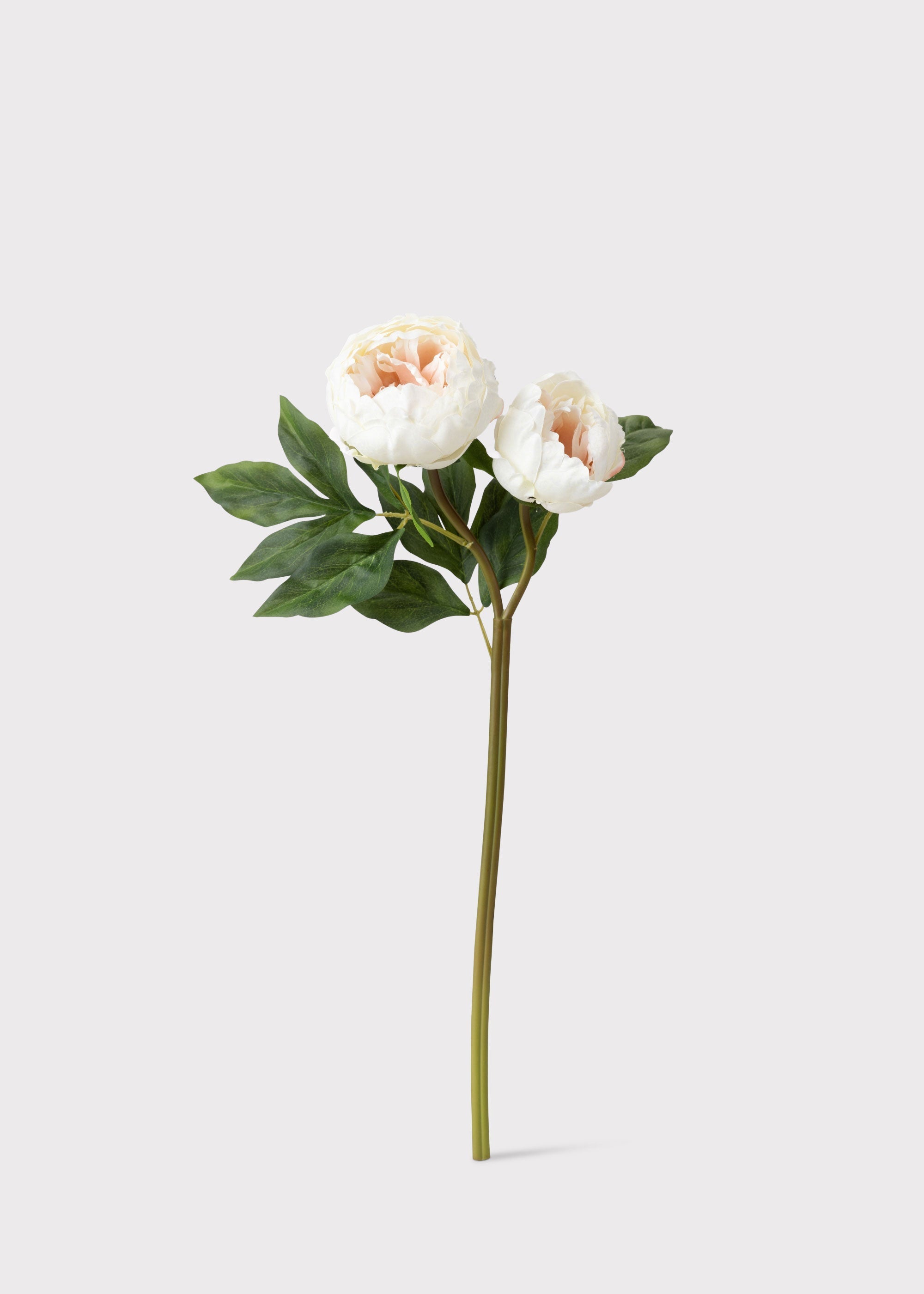 Cream Artificial Peony Stem for Entryway Arrangement