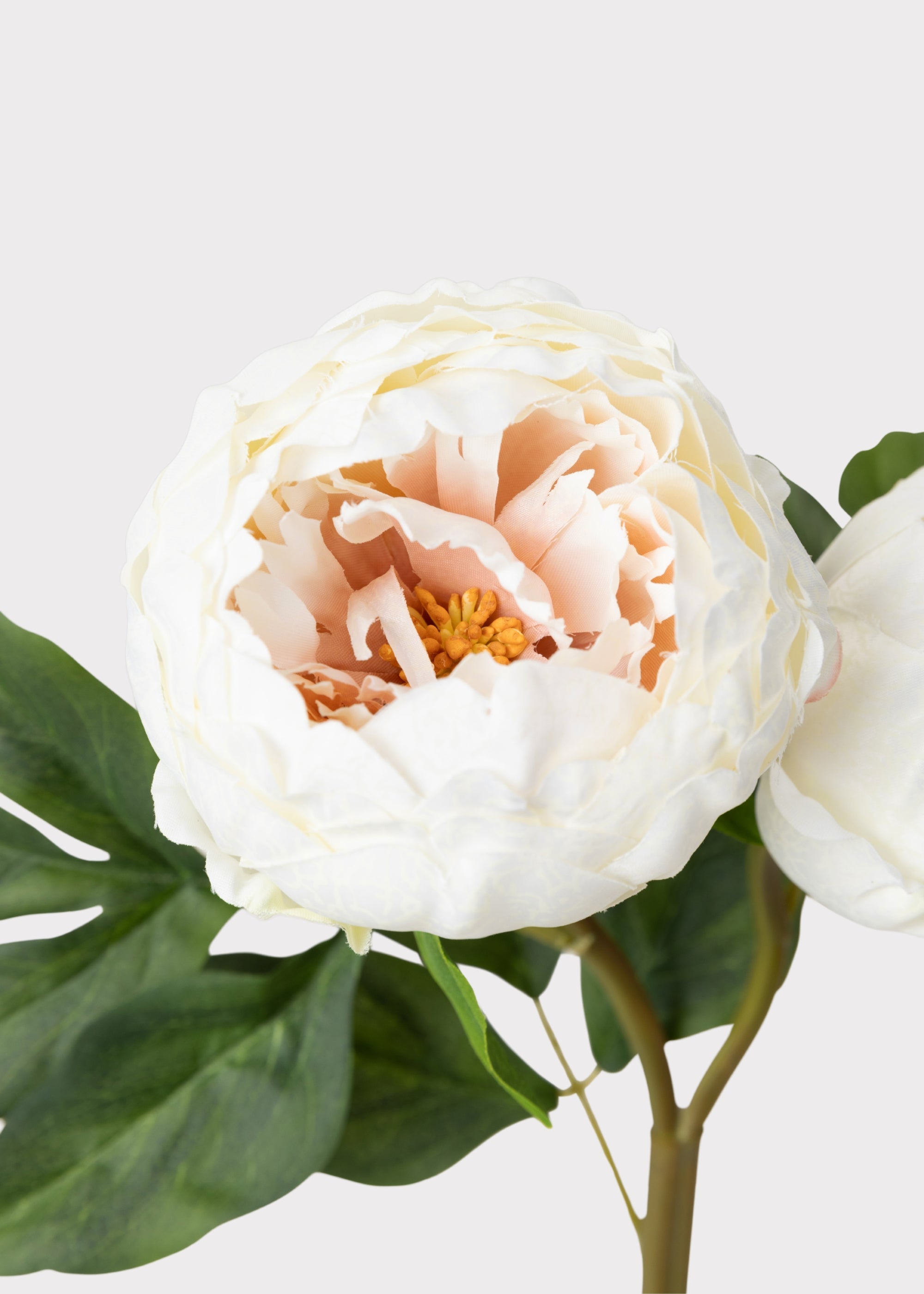 Cream Artificial Peony Stem for Wedding Decor