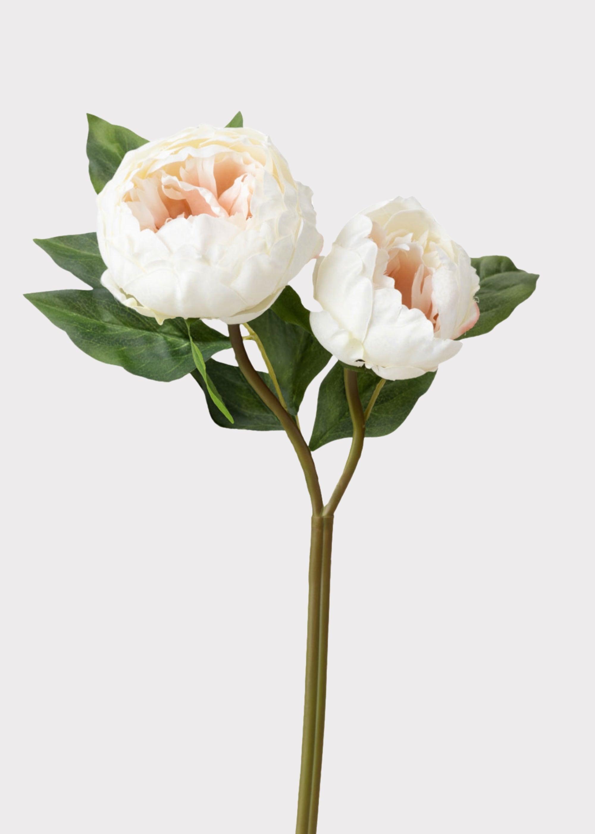 Cream Artificial Peony Stem for Vase Styling