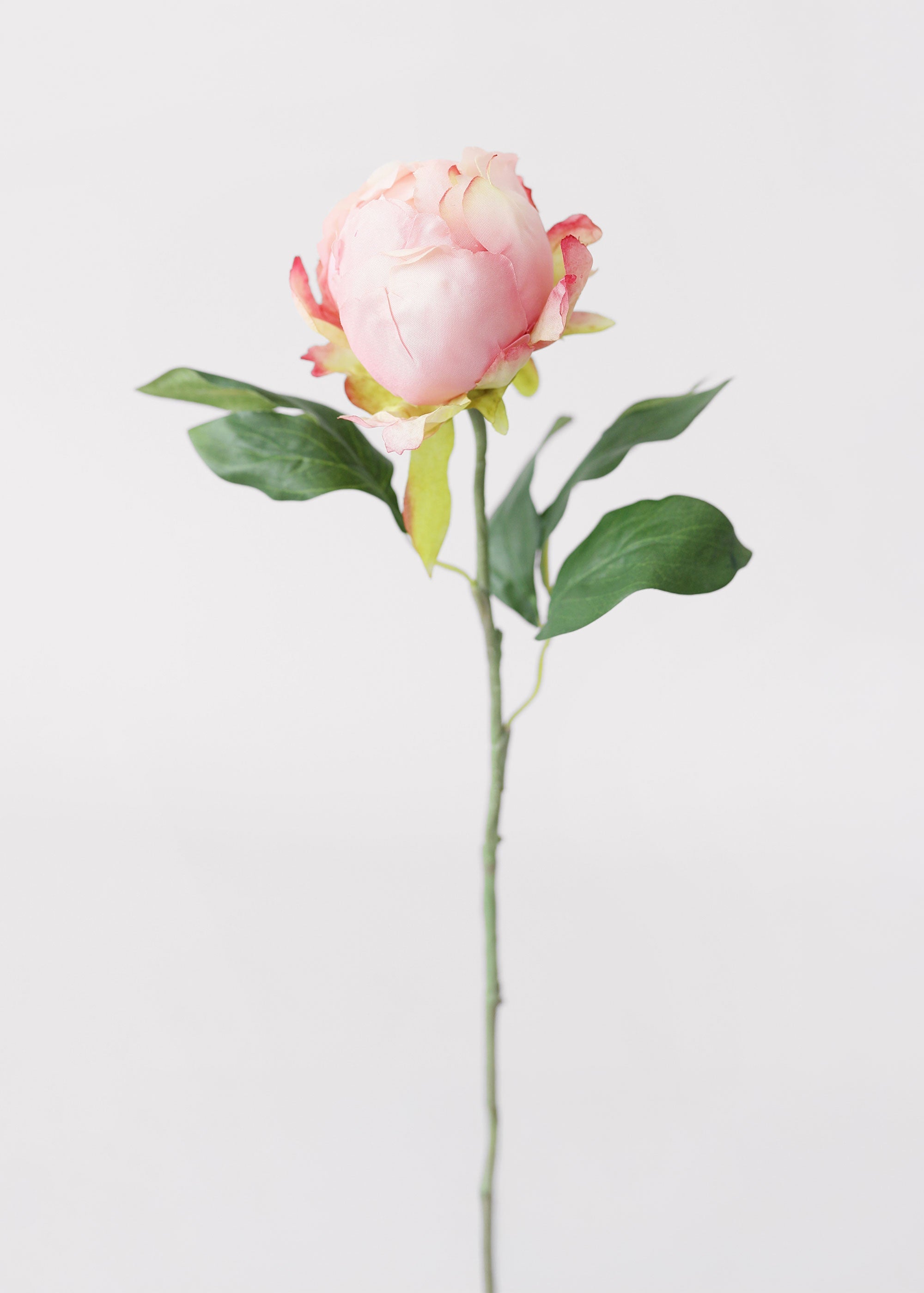 Pink Artificial Peony Stem for Vase Styling