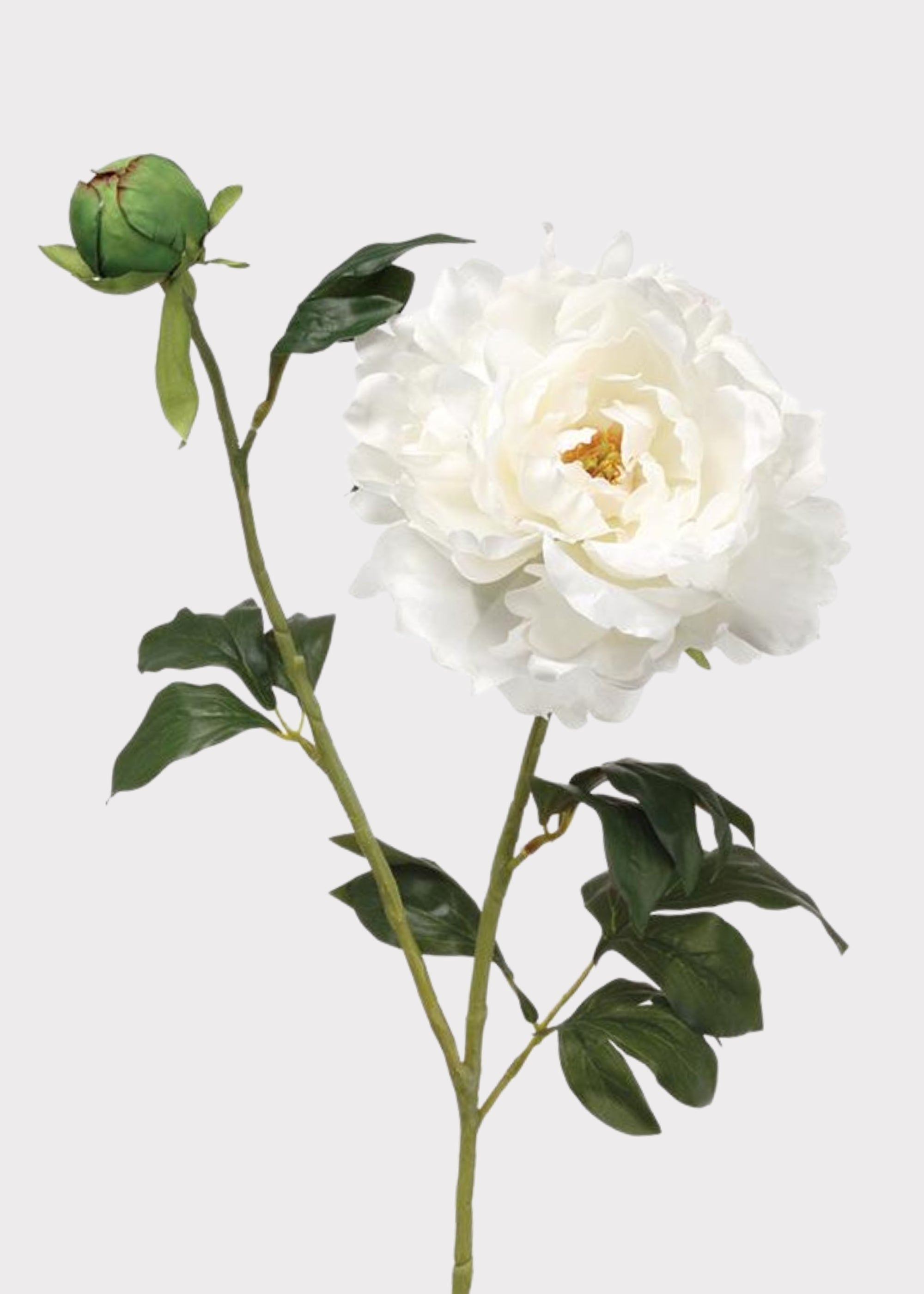 White Artificial Peony Stem for Vase Styling