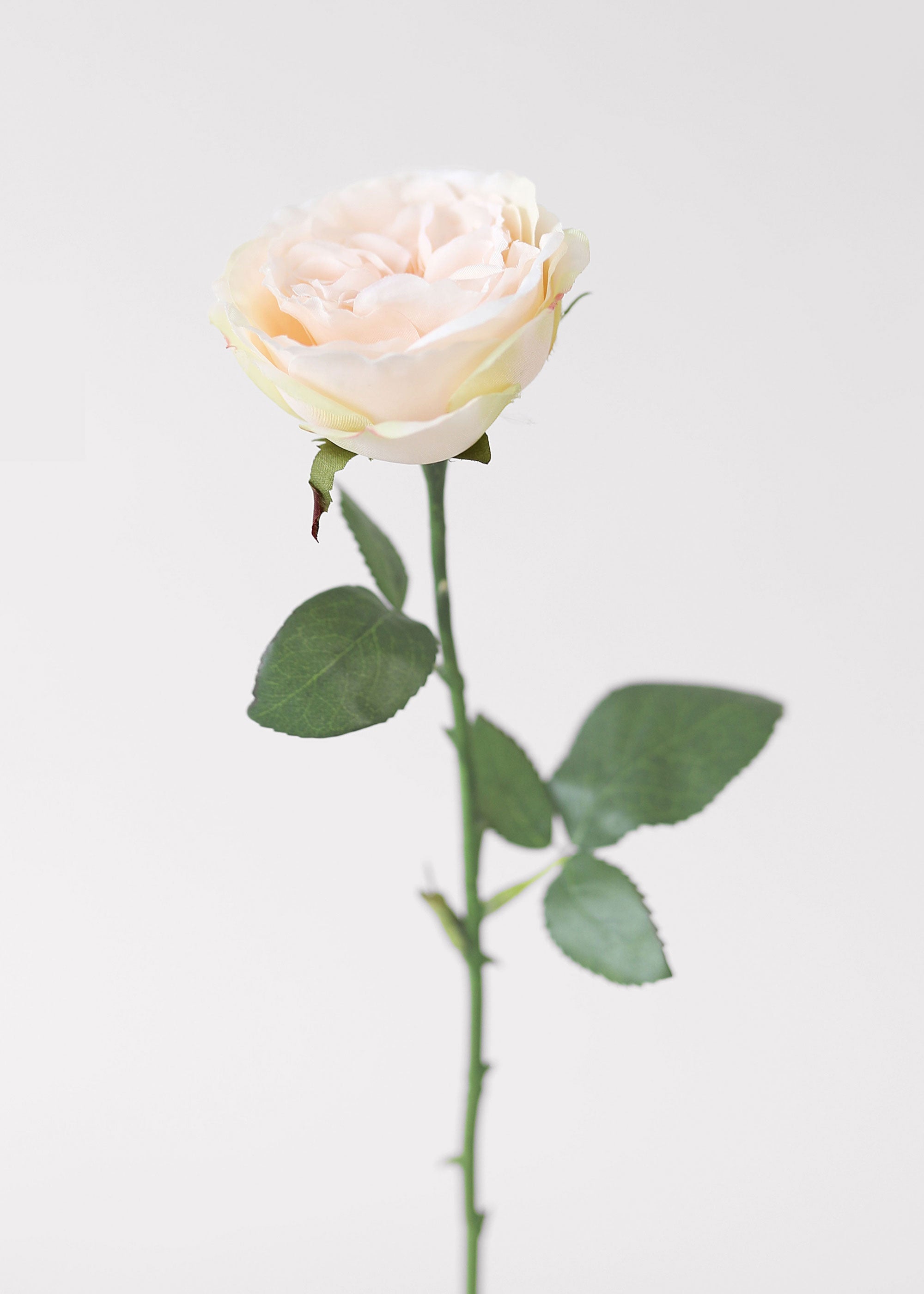 Pink Artificial Rose Stem for Shelf Styling