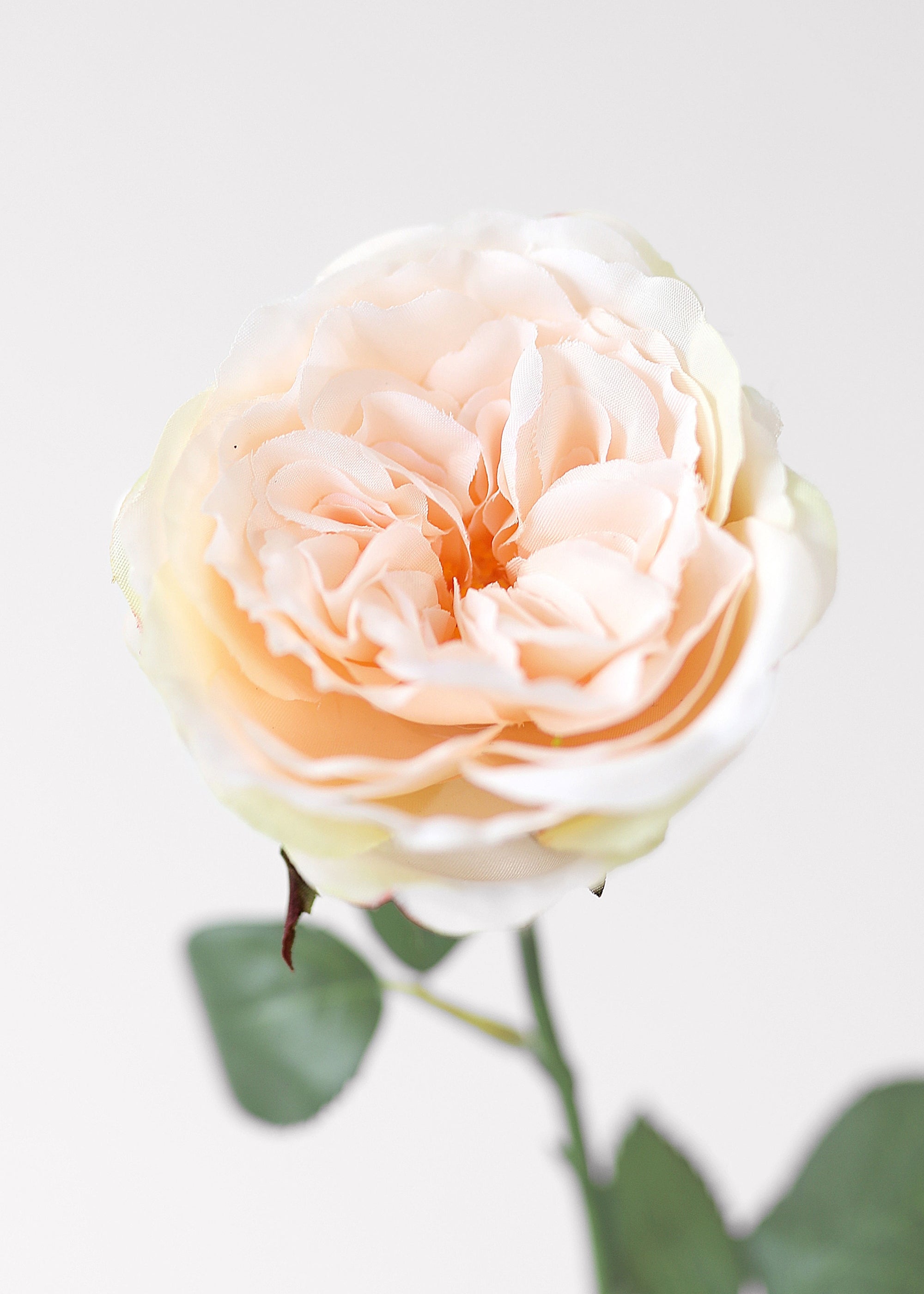 Pink Artificial Rose Stem for Wedding Decor