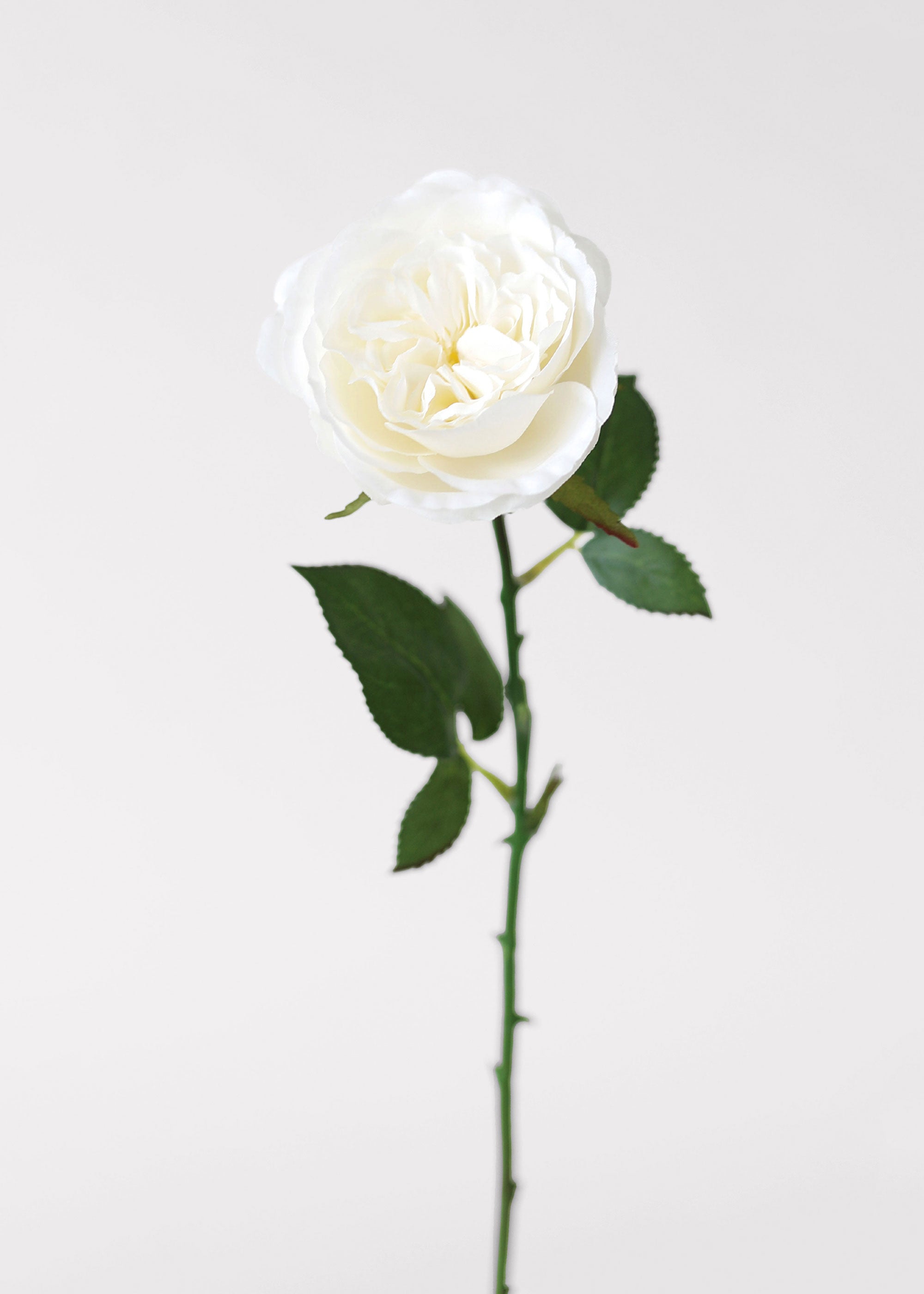 White Artificial Rose Stem for Vase Styling