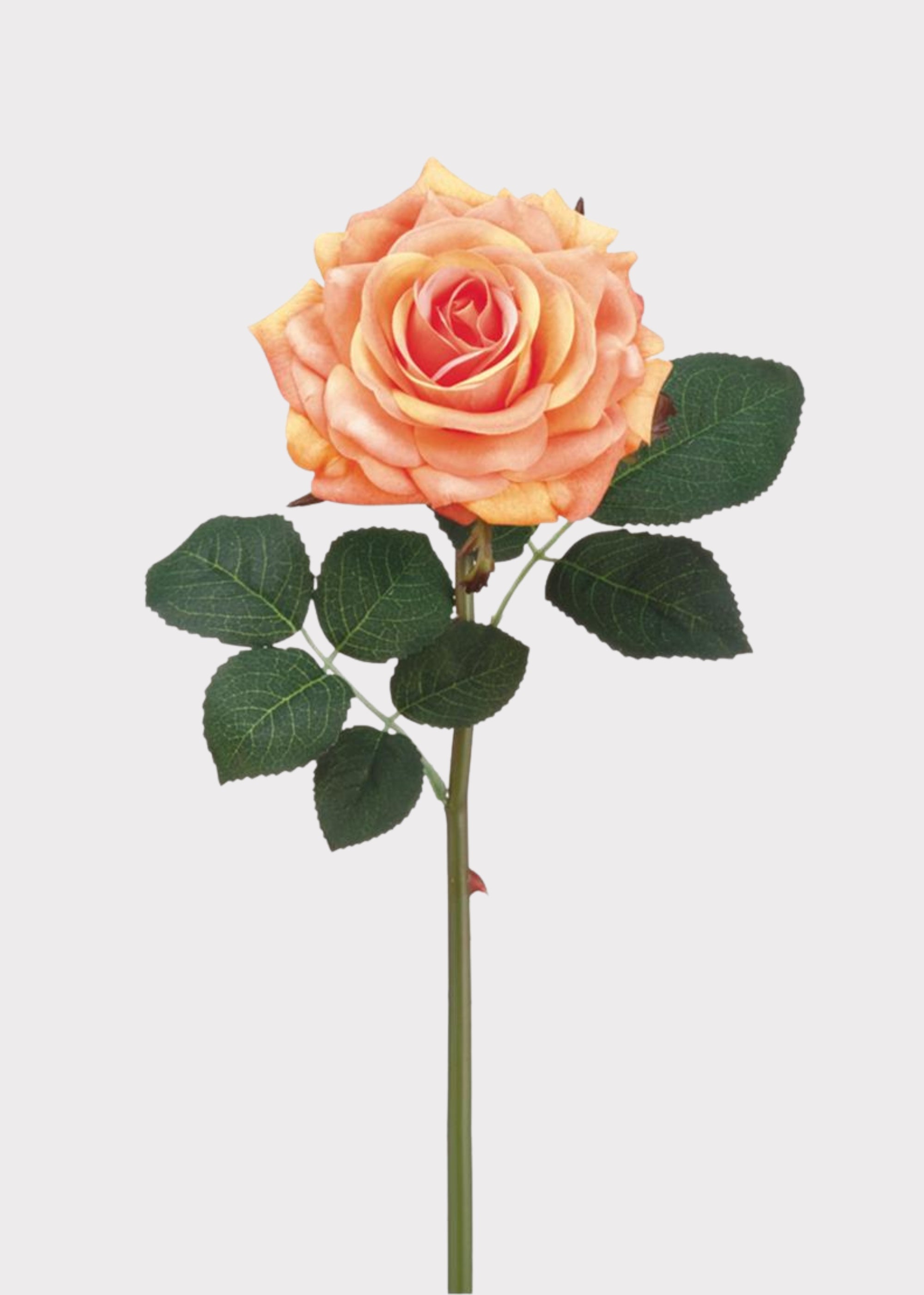 Pink Real Touch Artificial Rose Stem for Vase Styling