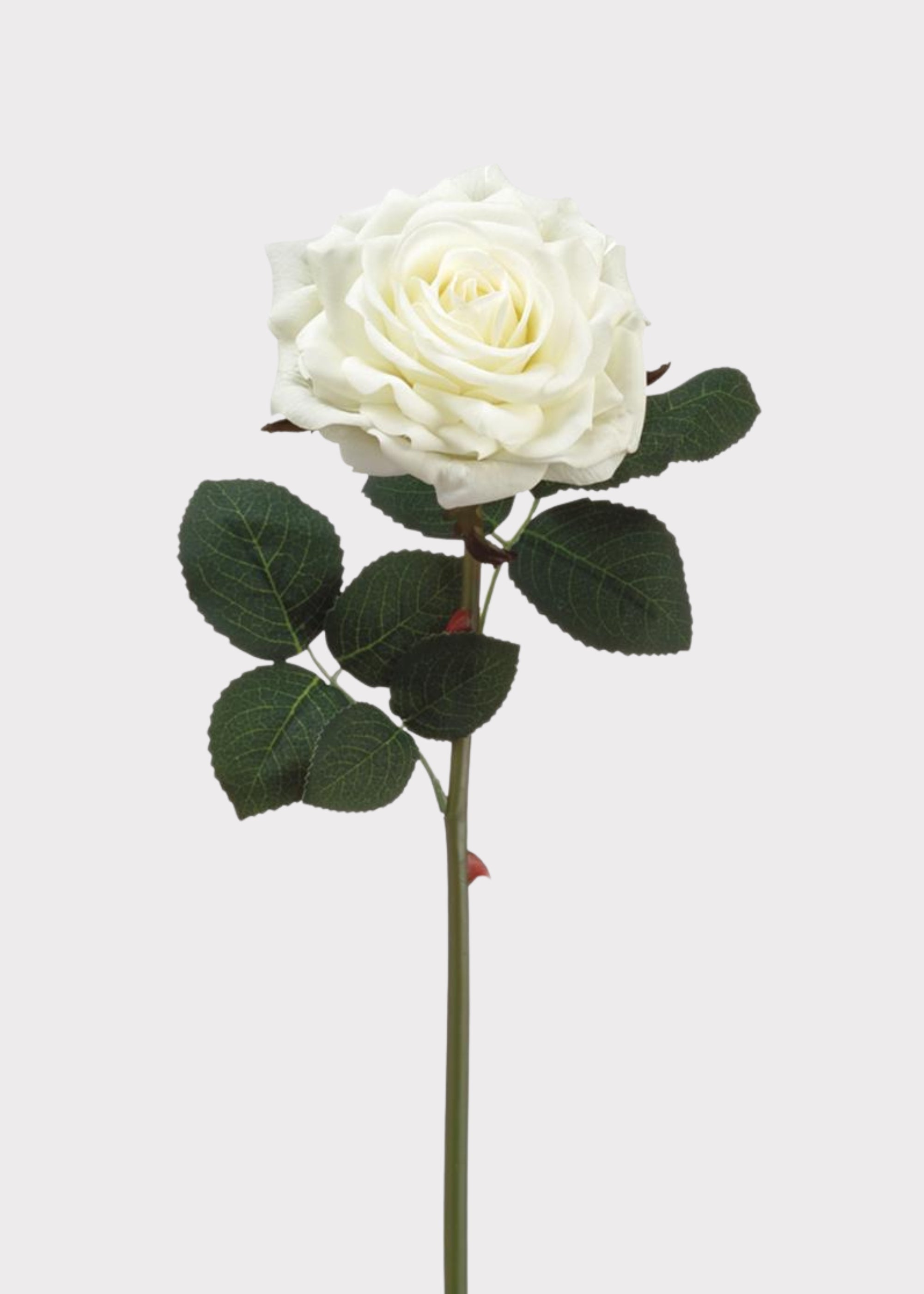 White Real Touch Artificial Rose Stem for Vase Styling