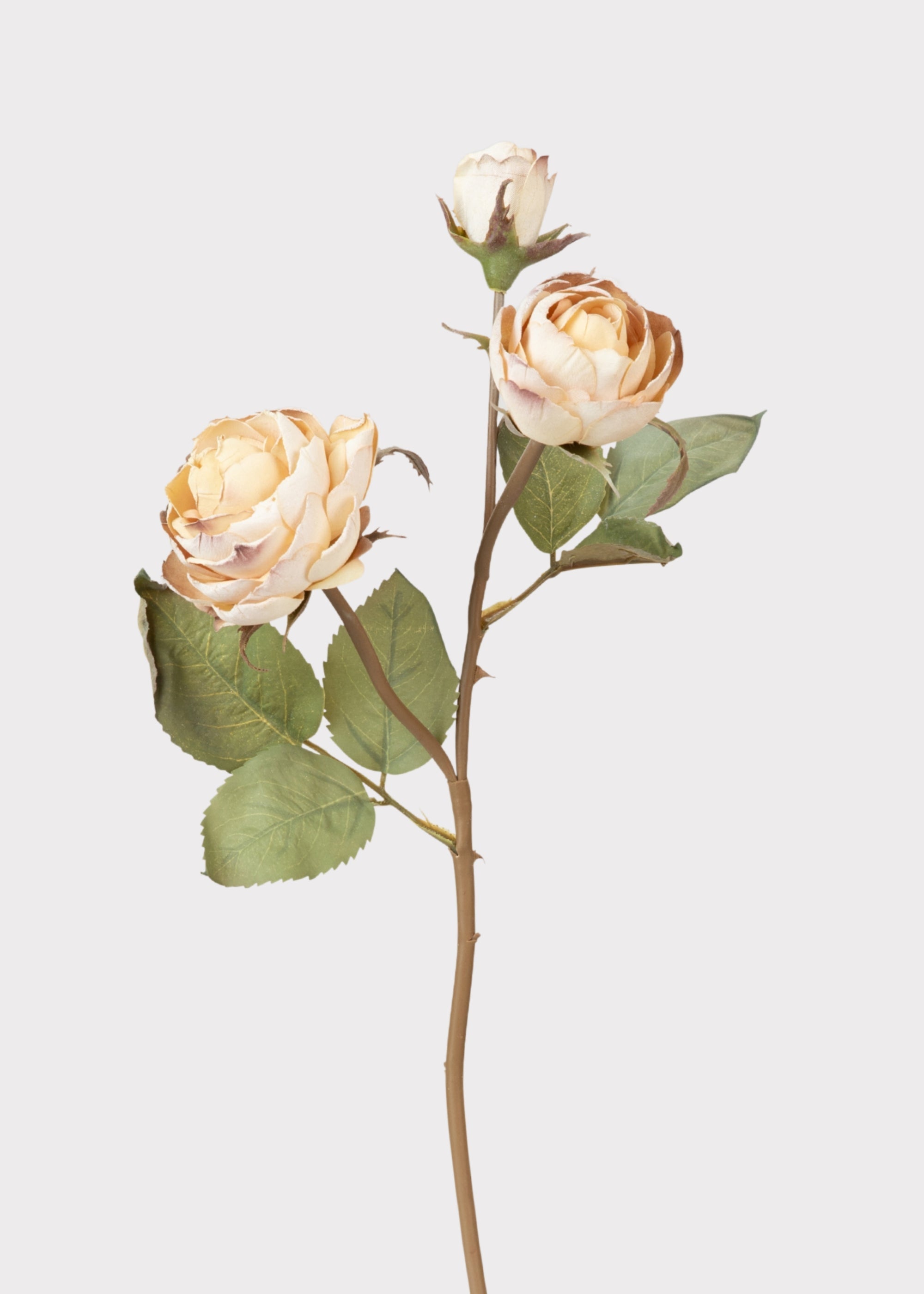 Beige Artificial Rose Stem for Vase Styling