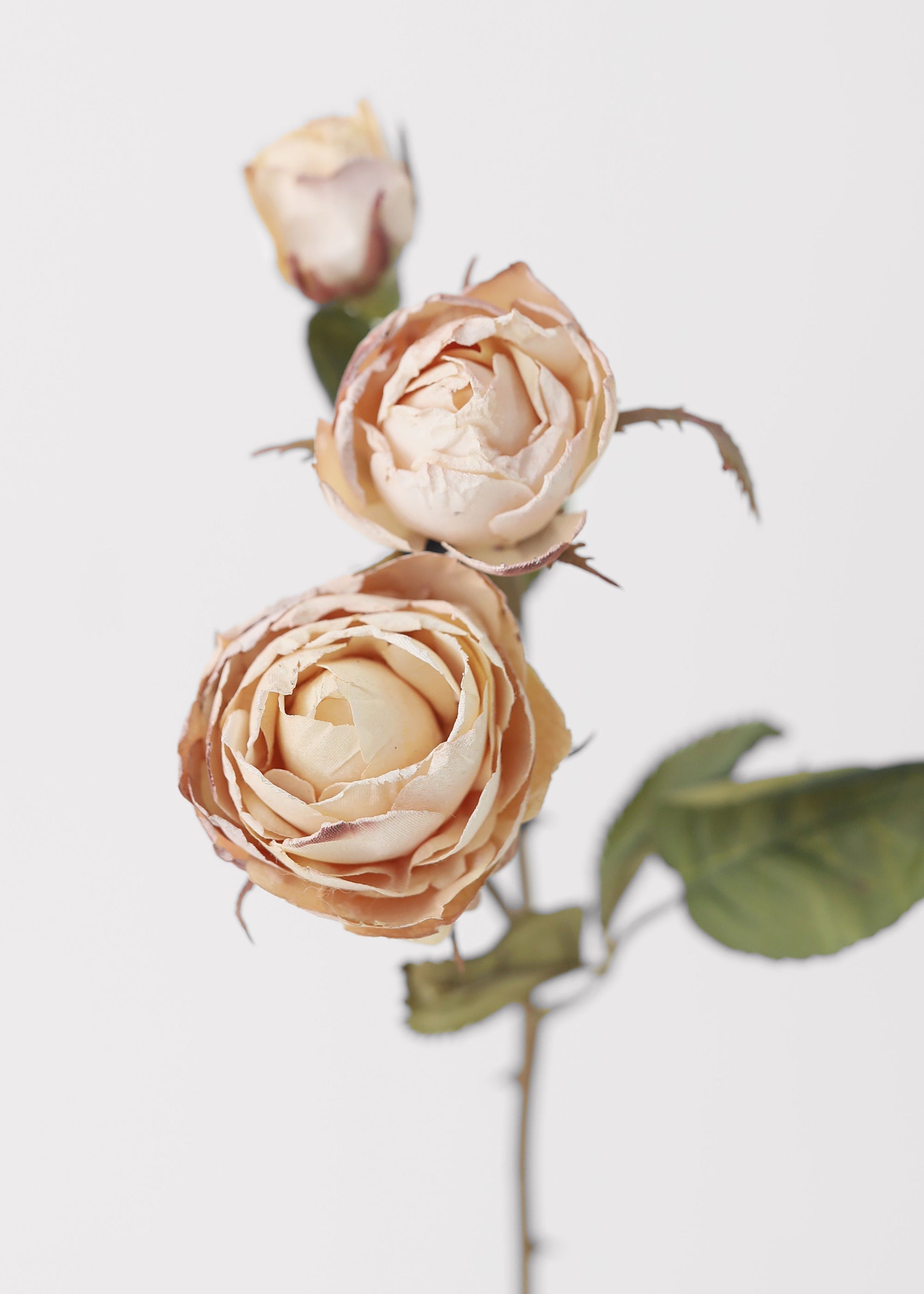 Beige Artificial Rose Stem for Wedding Decor