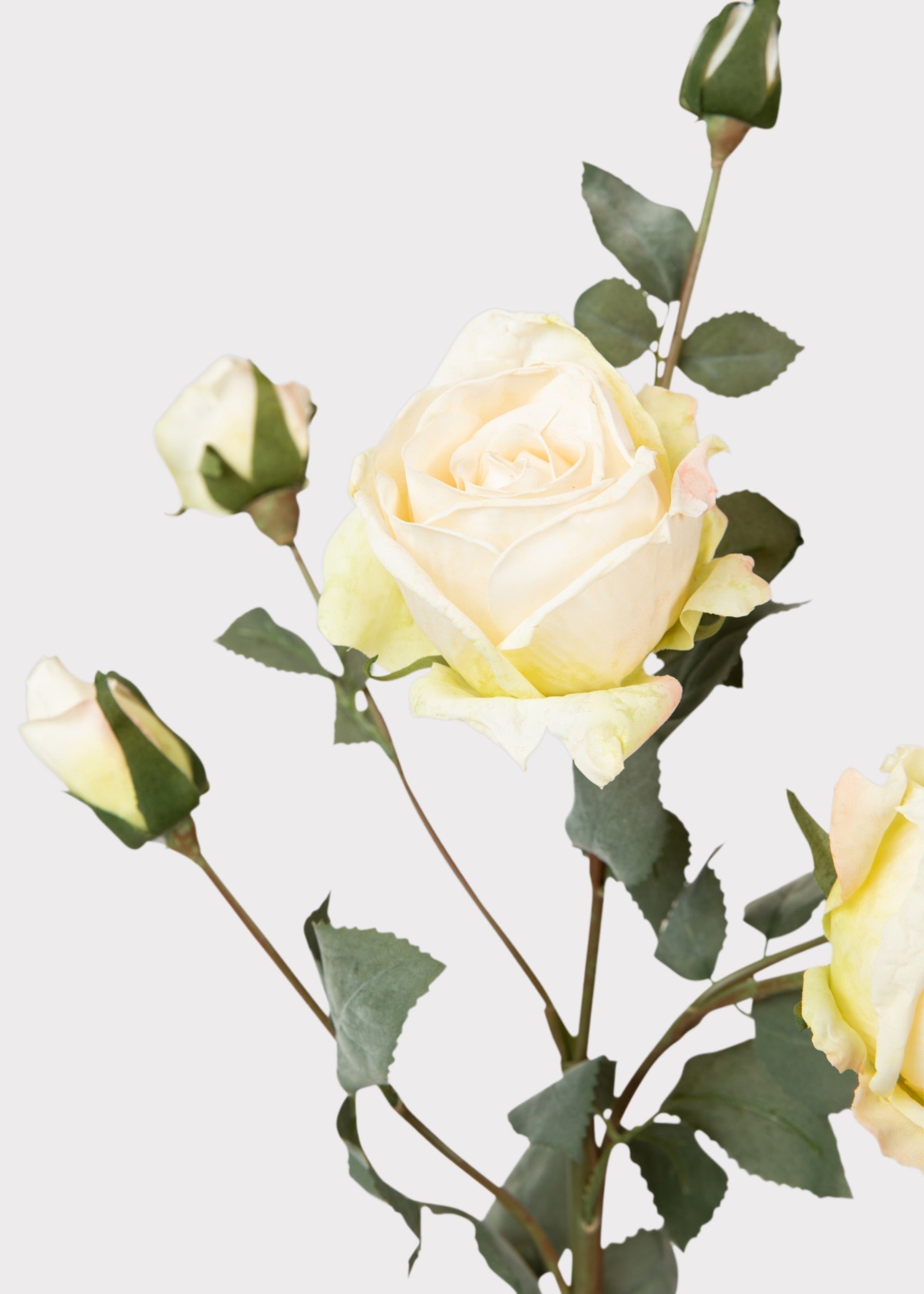 Cream Artificial Rose Stem for Table Centerpiece